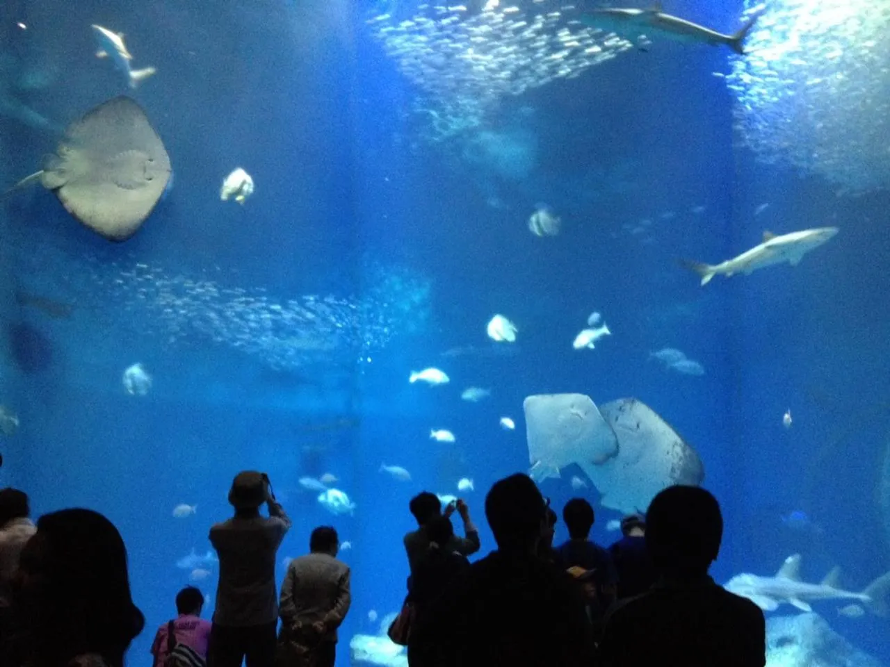 Nearby landmark in Terrace Inn Katsuta