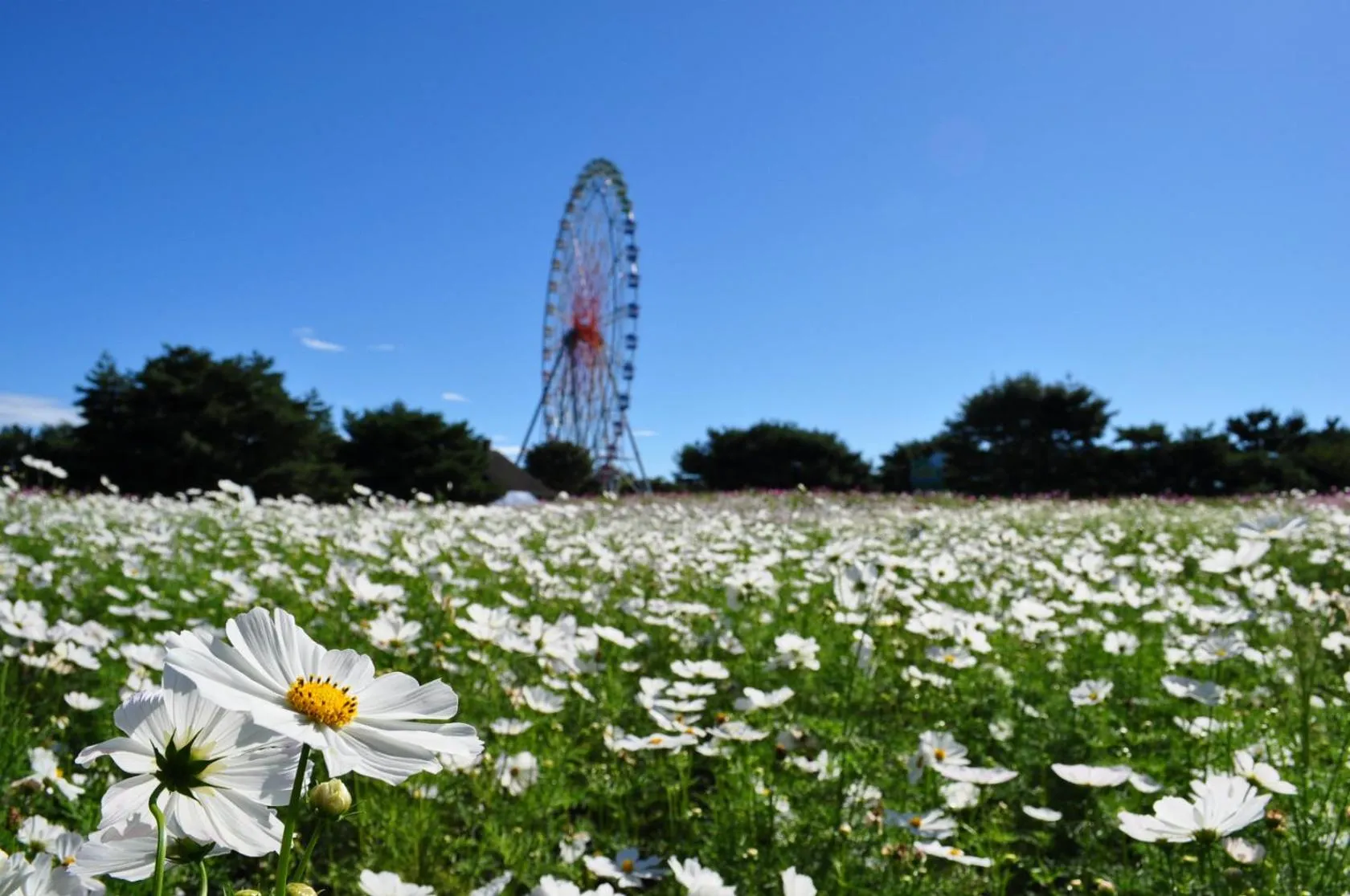 Nearby landmark in Terrace Inn Katsuta