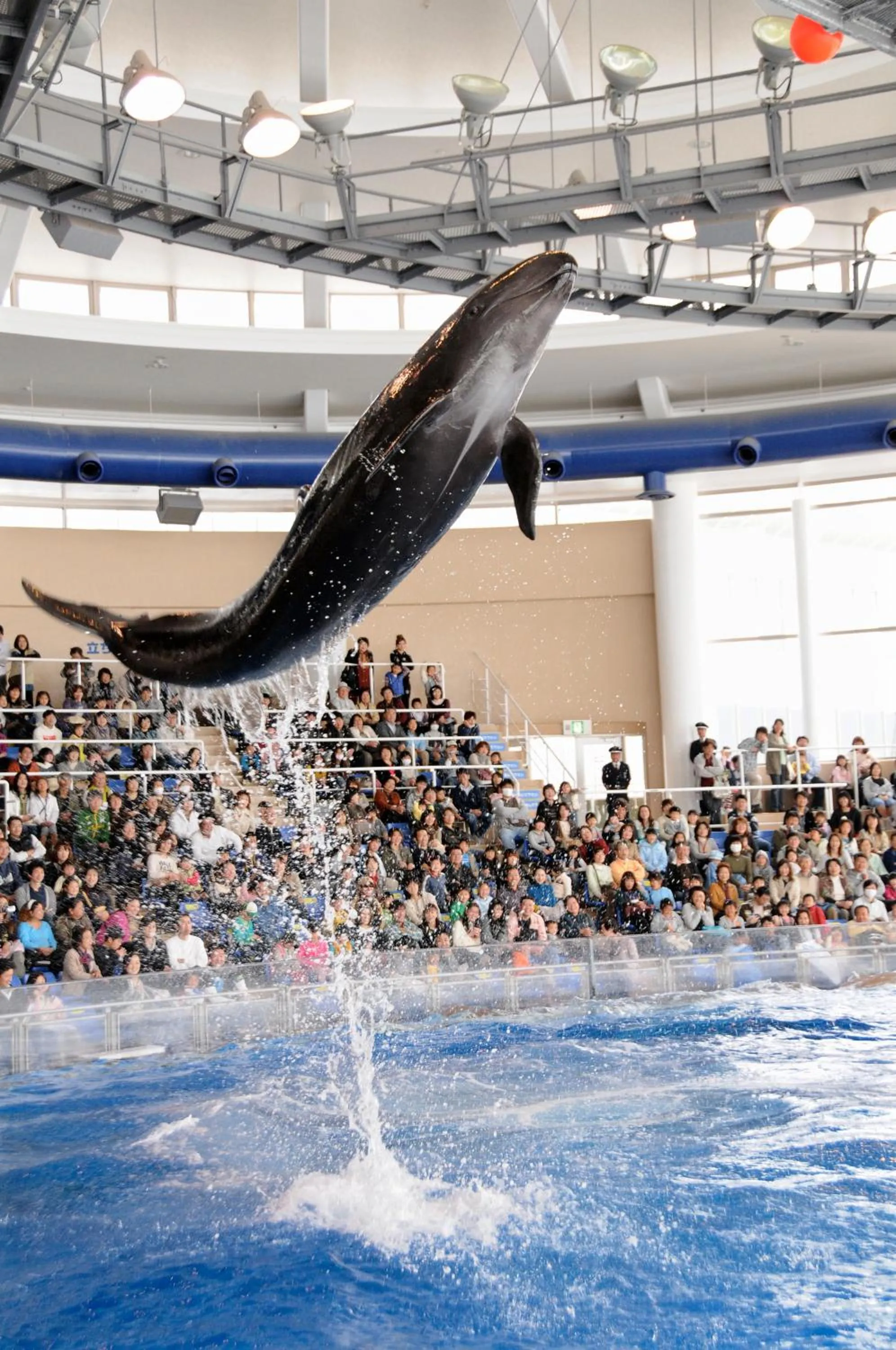 Nearby landmark in Terrace Inn Katsuta