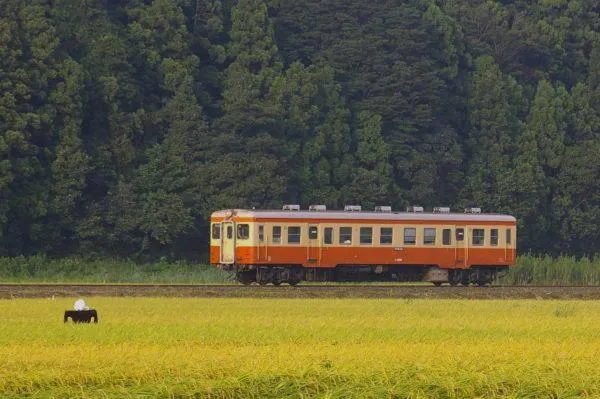Neighbourhood in Terrace Inn Katsuta