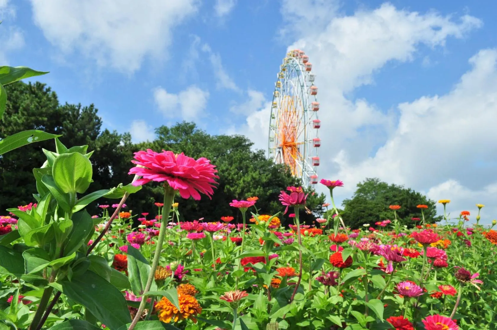 Nearby landmark in Terrace Inn Katsuta