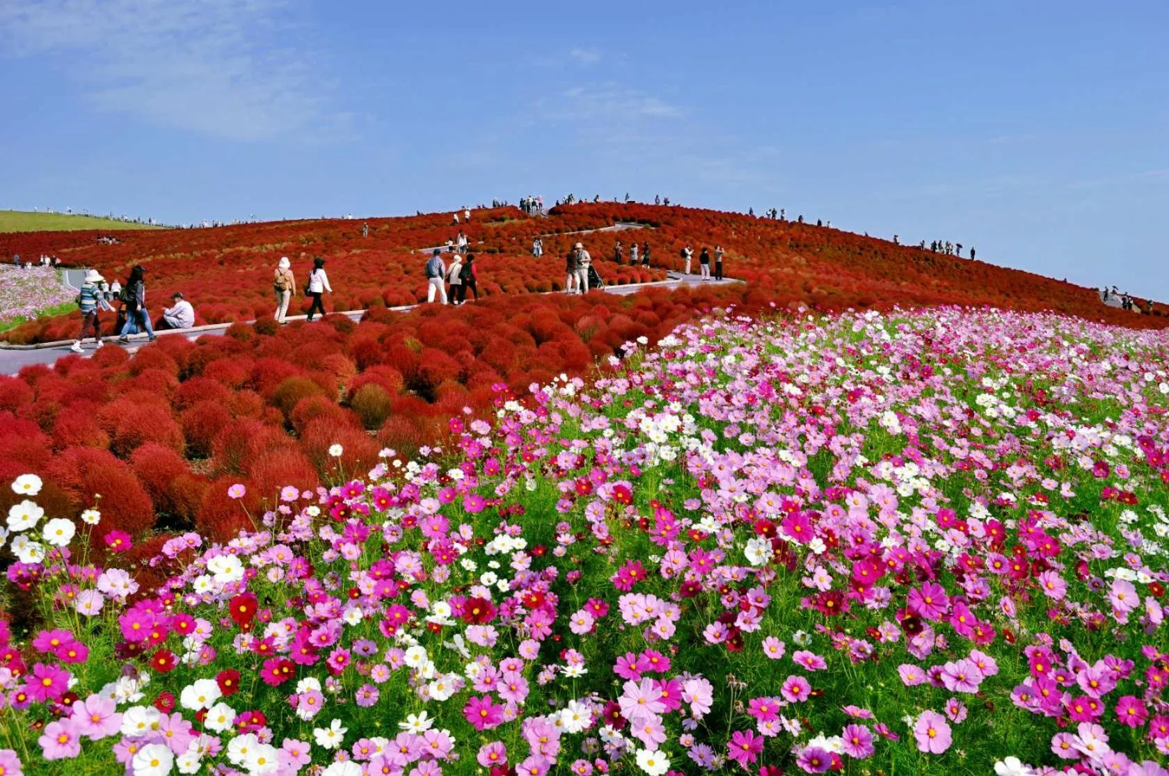 Nearby landmark in Terrace Inn Katsuta