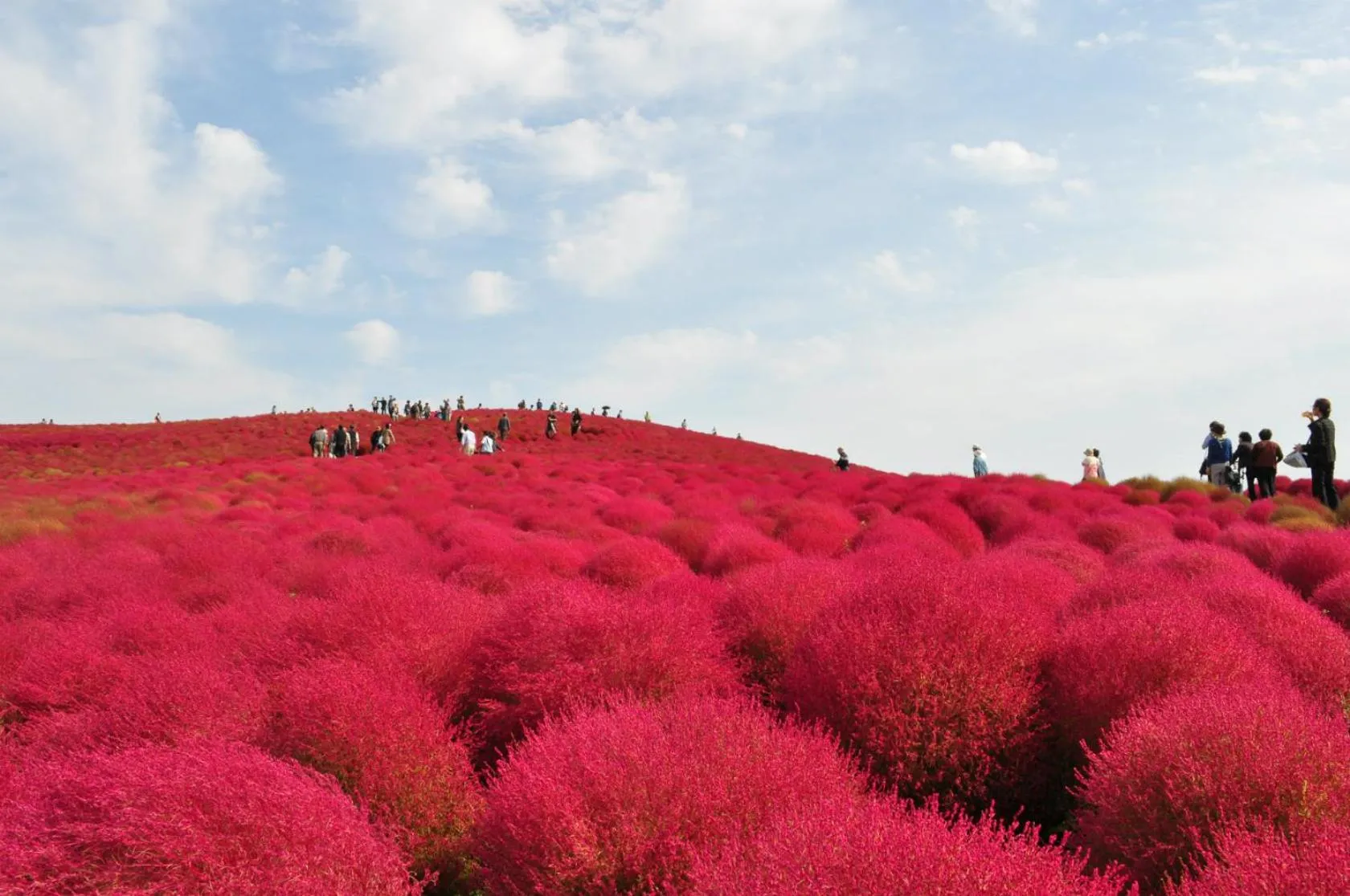 Nearby landmark in Terrace Inn Katsuta