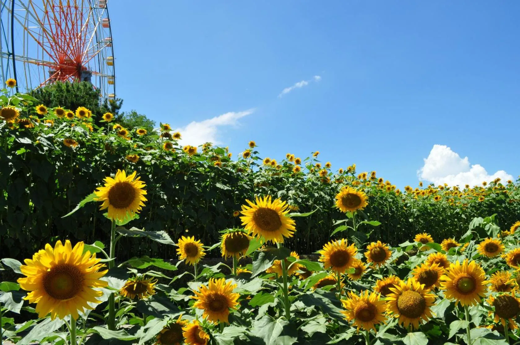 Nearby landmark in Terrace Inn Katsuta