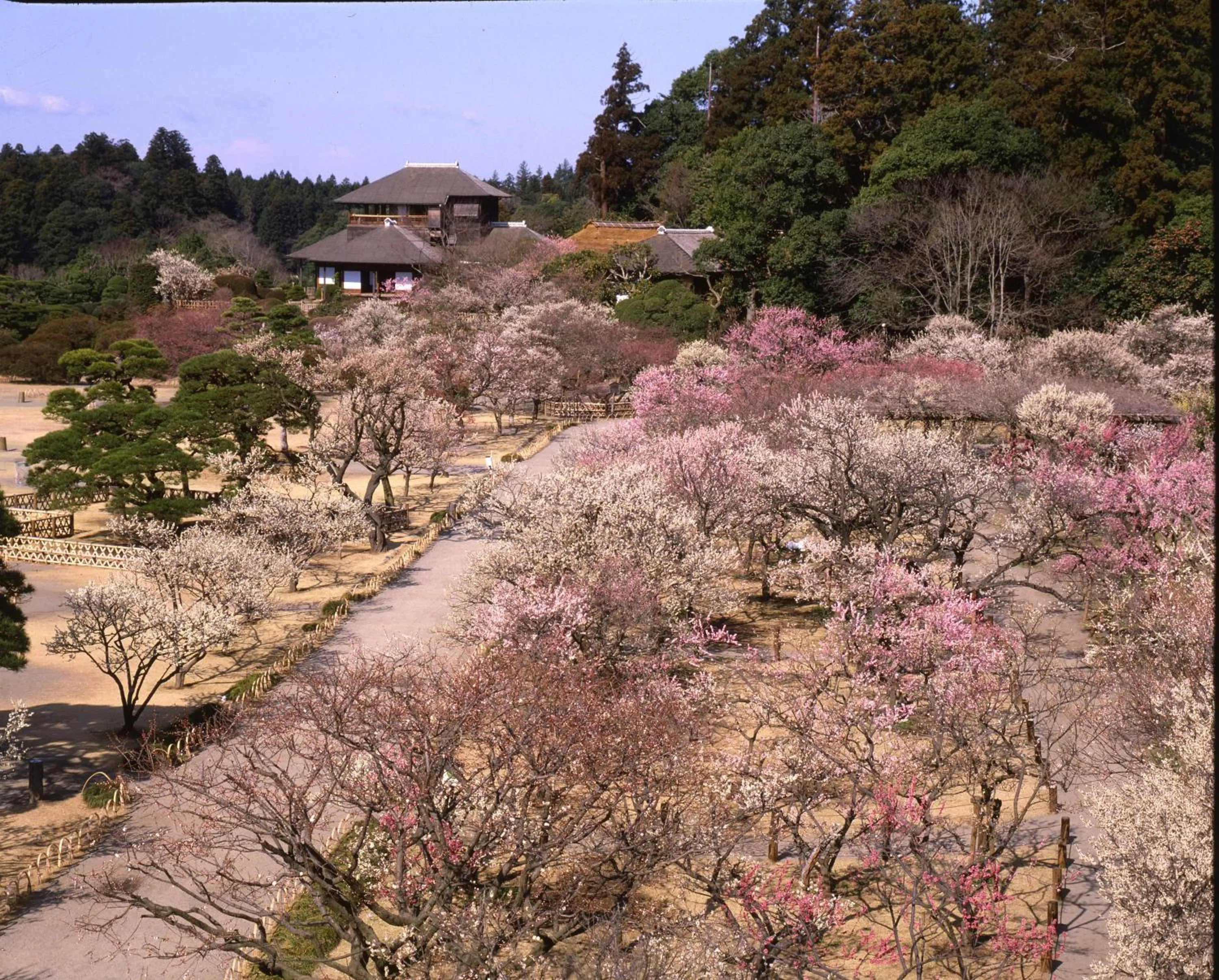 Nearby landmark in Terrace Inn Katsuta