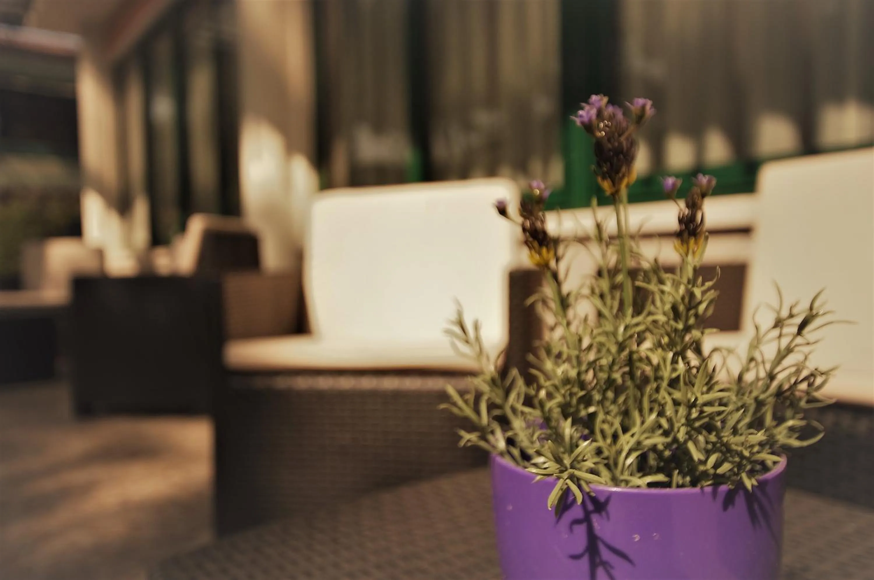 Hotel Boccaccio-free parking-