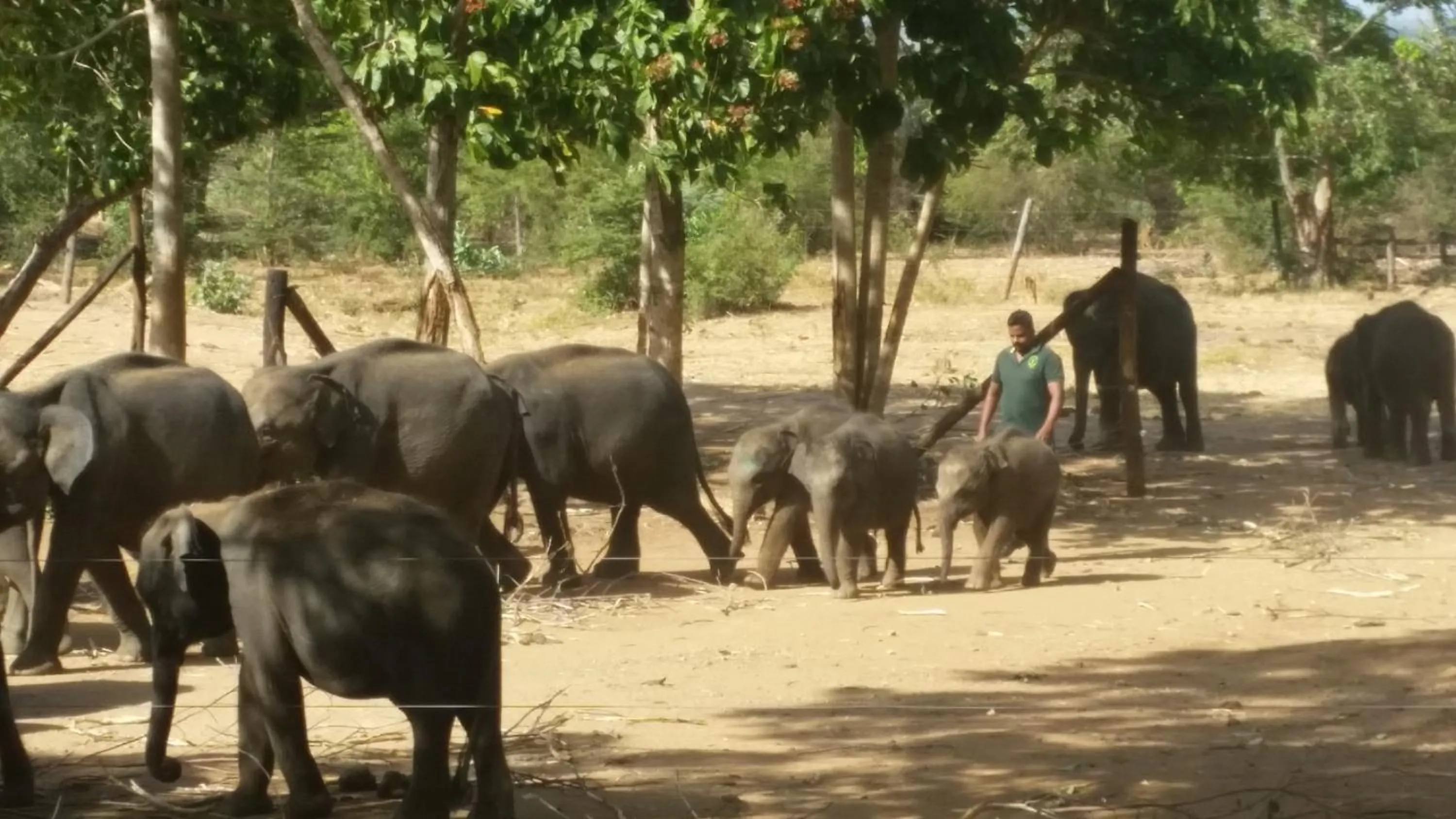 Property building in Dhammika Magic Palace