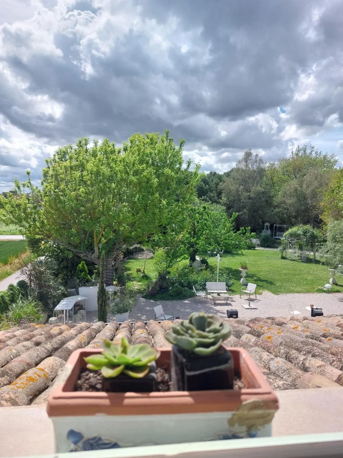 Natural landscape in Locanda Antico Casale Cesenatico