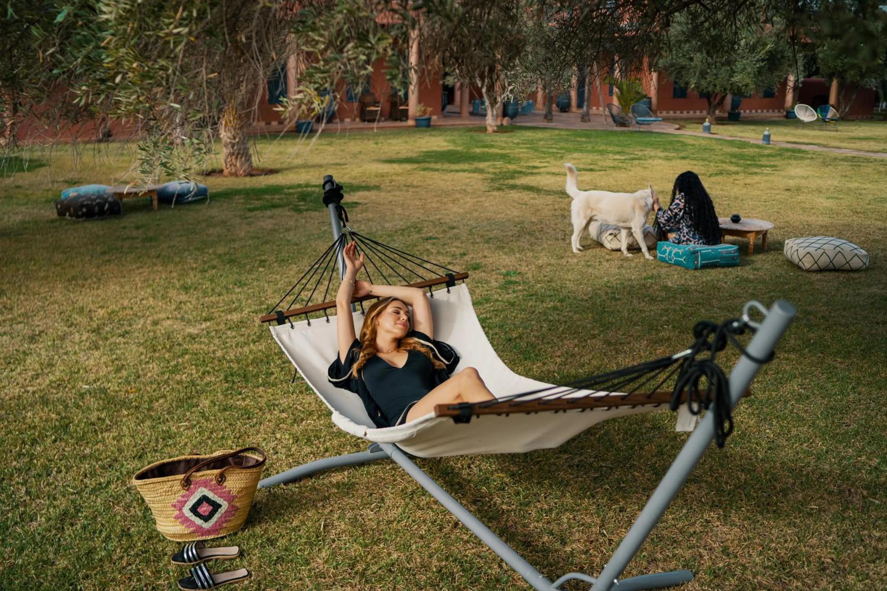 SOBOL Le Chant des Oliviers