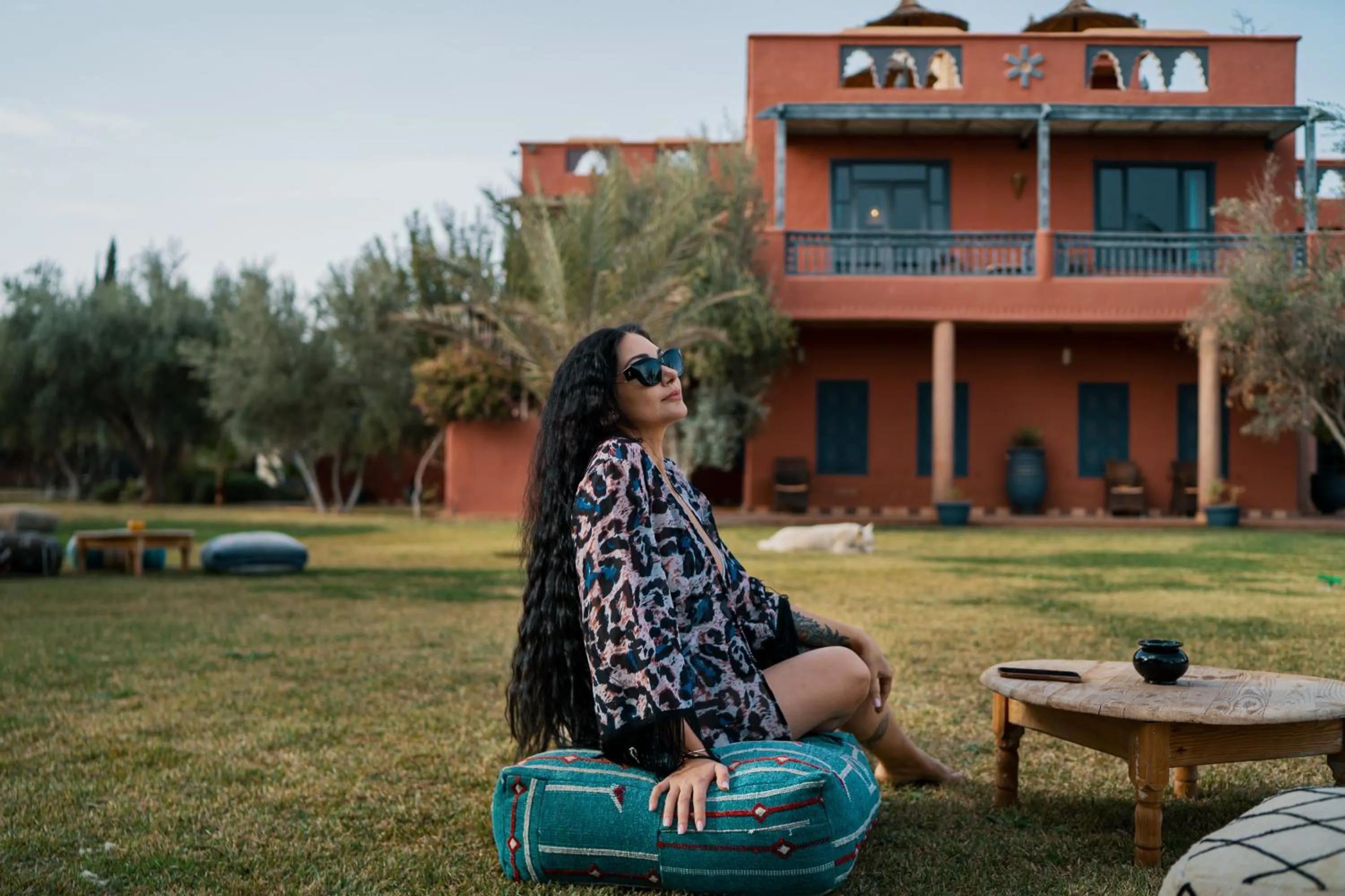 SOBOL Le Chant des Oliviers