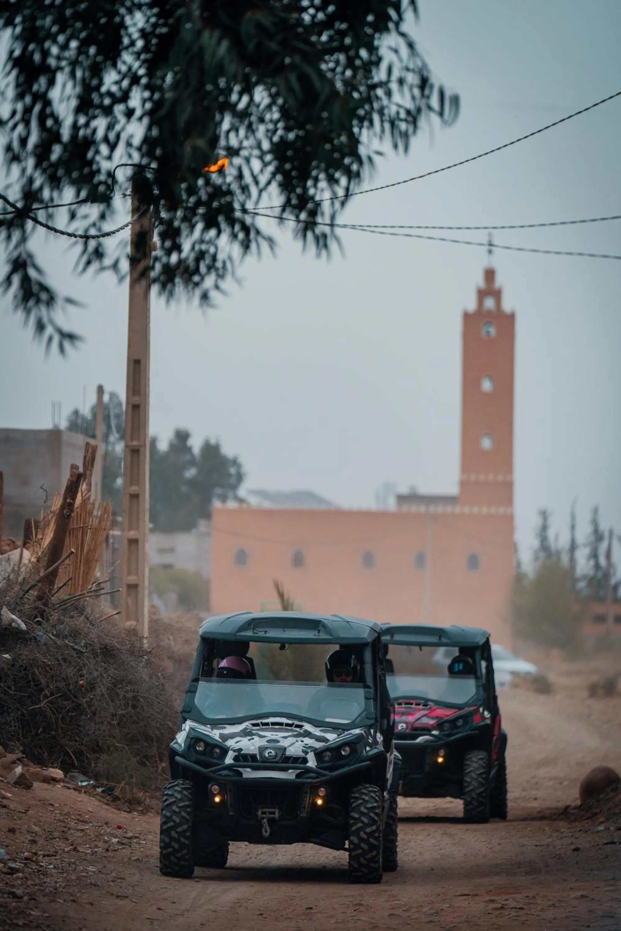 Activities in SOBOL Le Chant des Oliviers