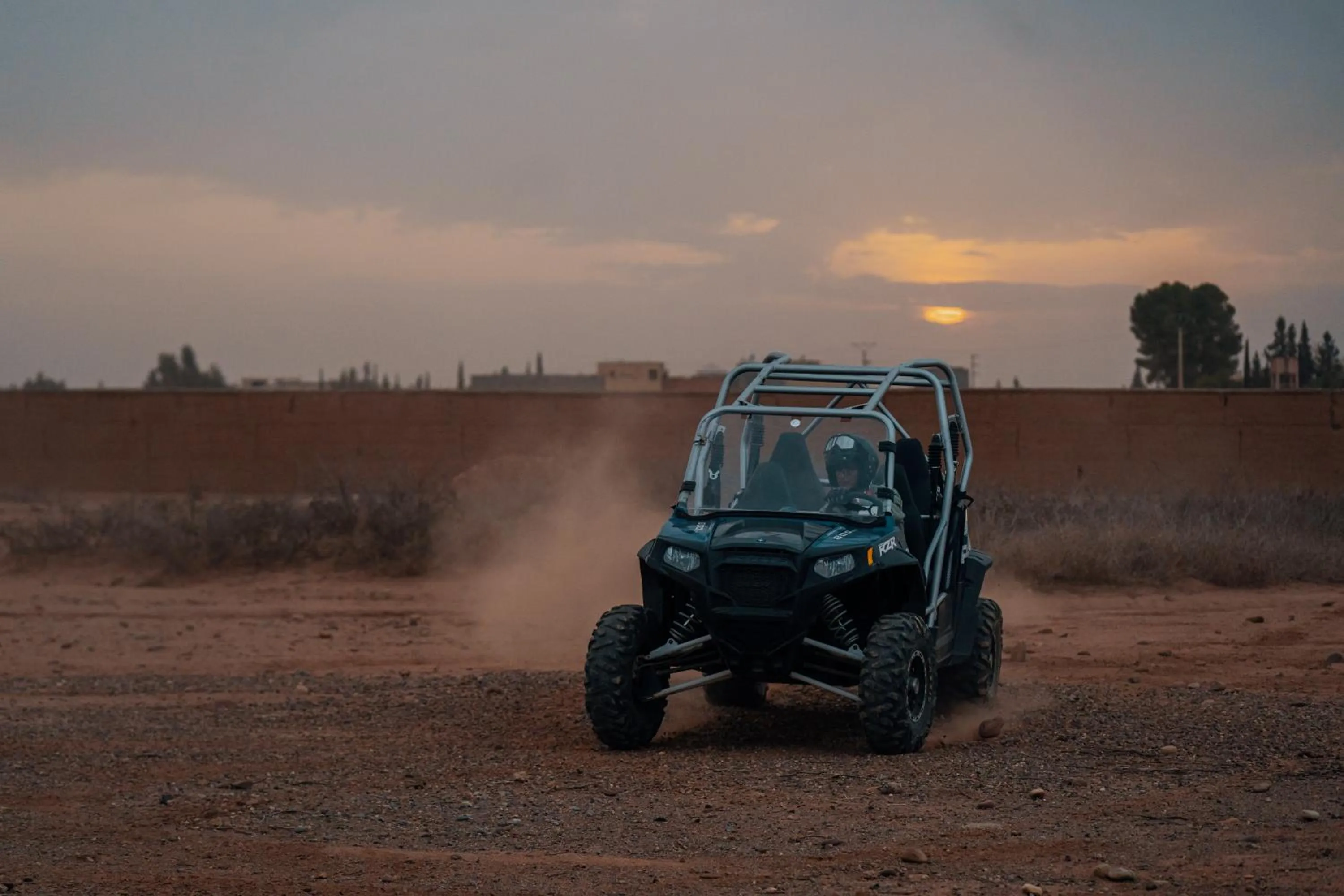 SOBOL Le Chant des Oliviers