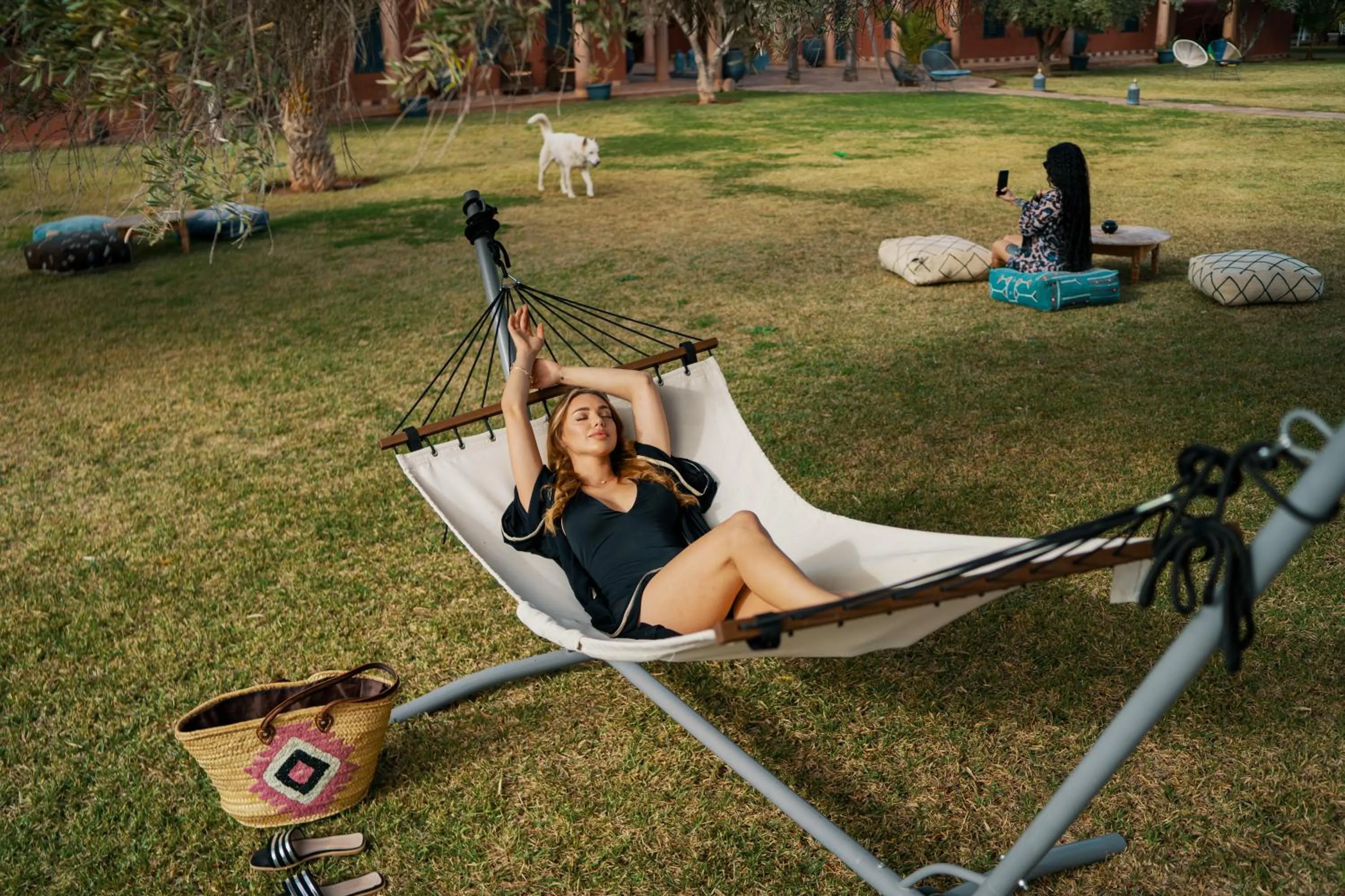 SOBOL Le Chant des Oliviers