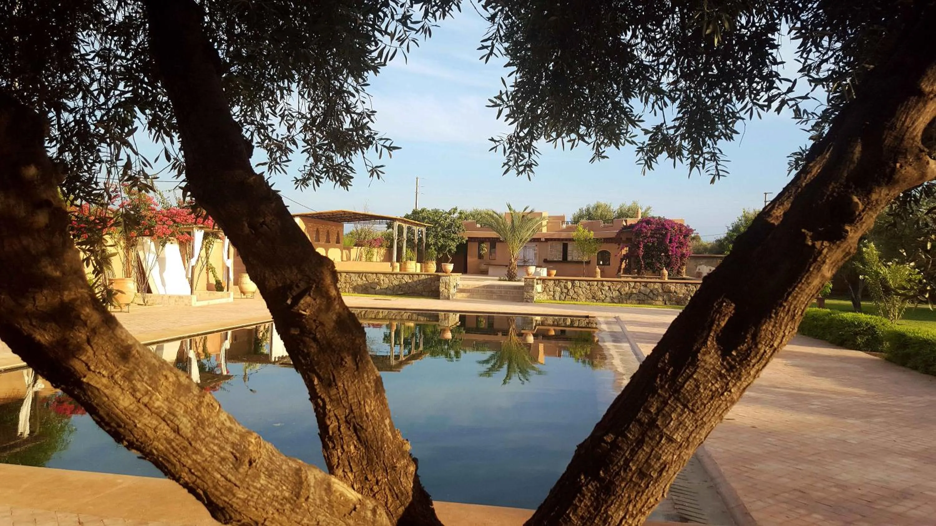 Pool view in SOBOL Le Chant des Oliviers