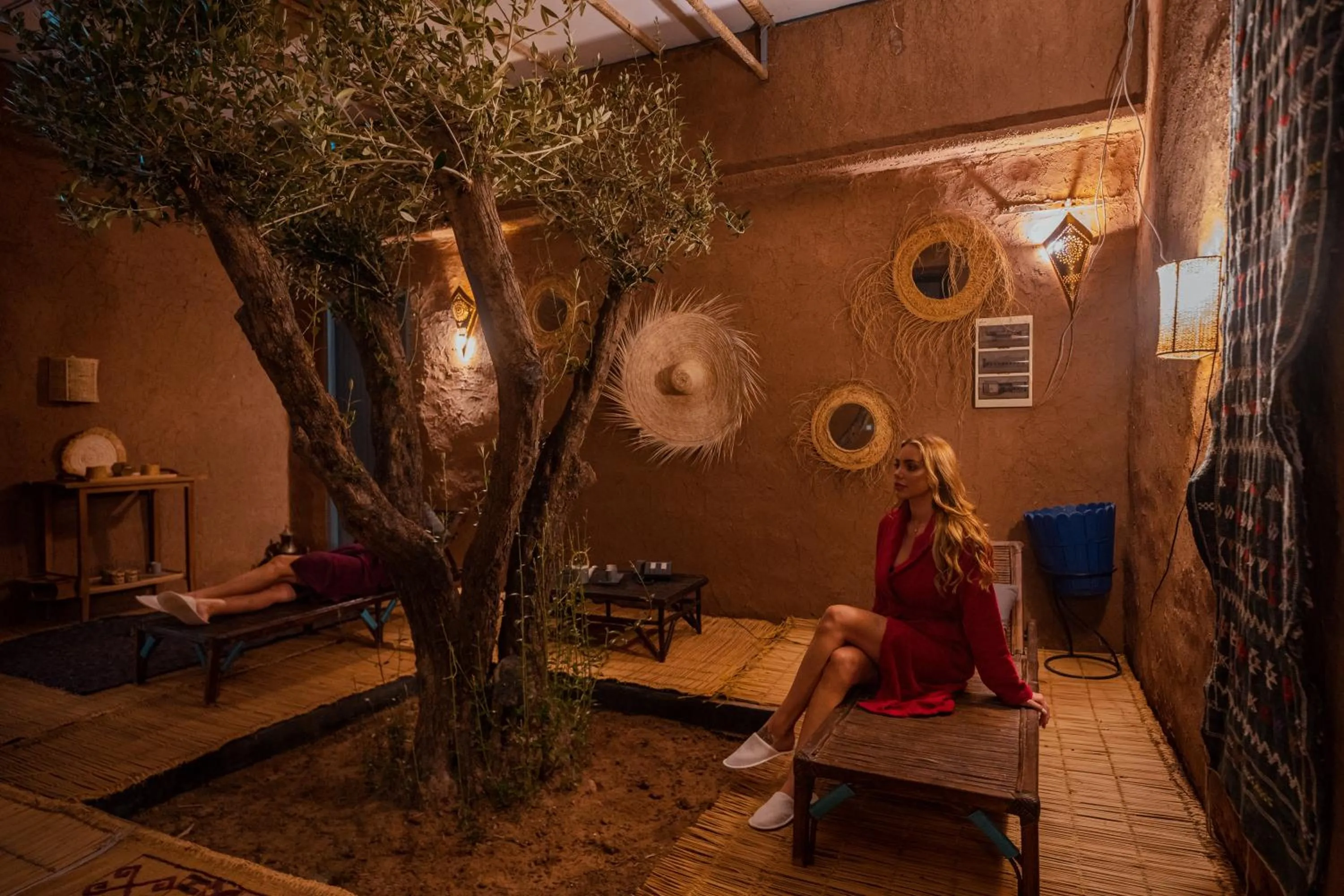 SOBOL Le Chant des Oliviers