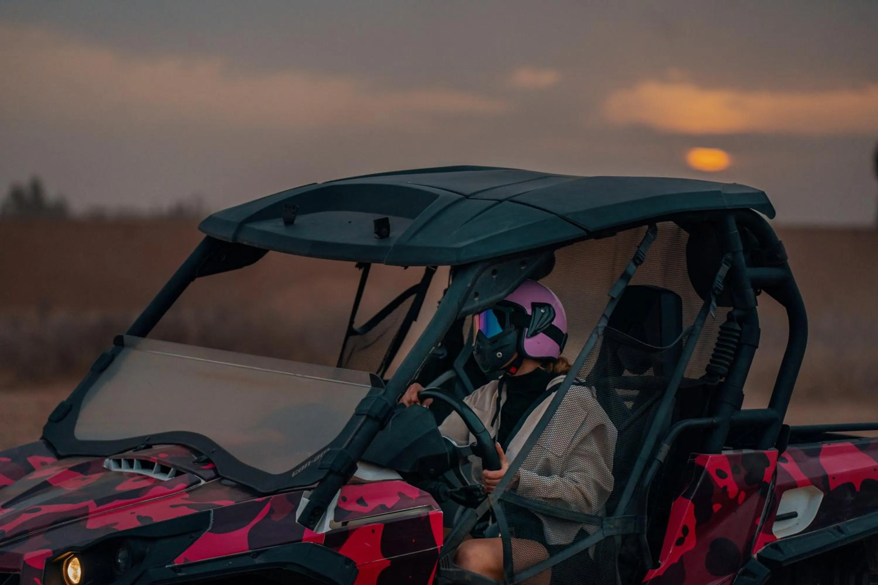 SOBOL Le Chant des Oliviers