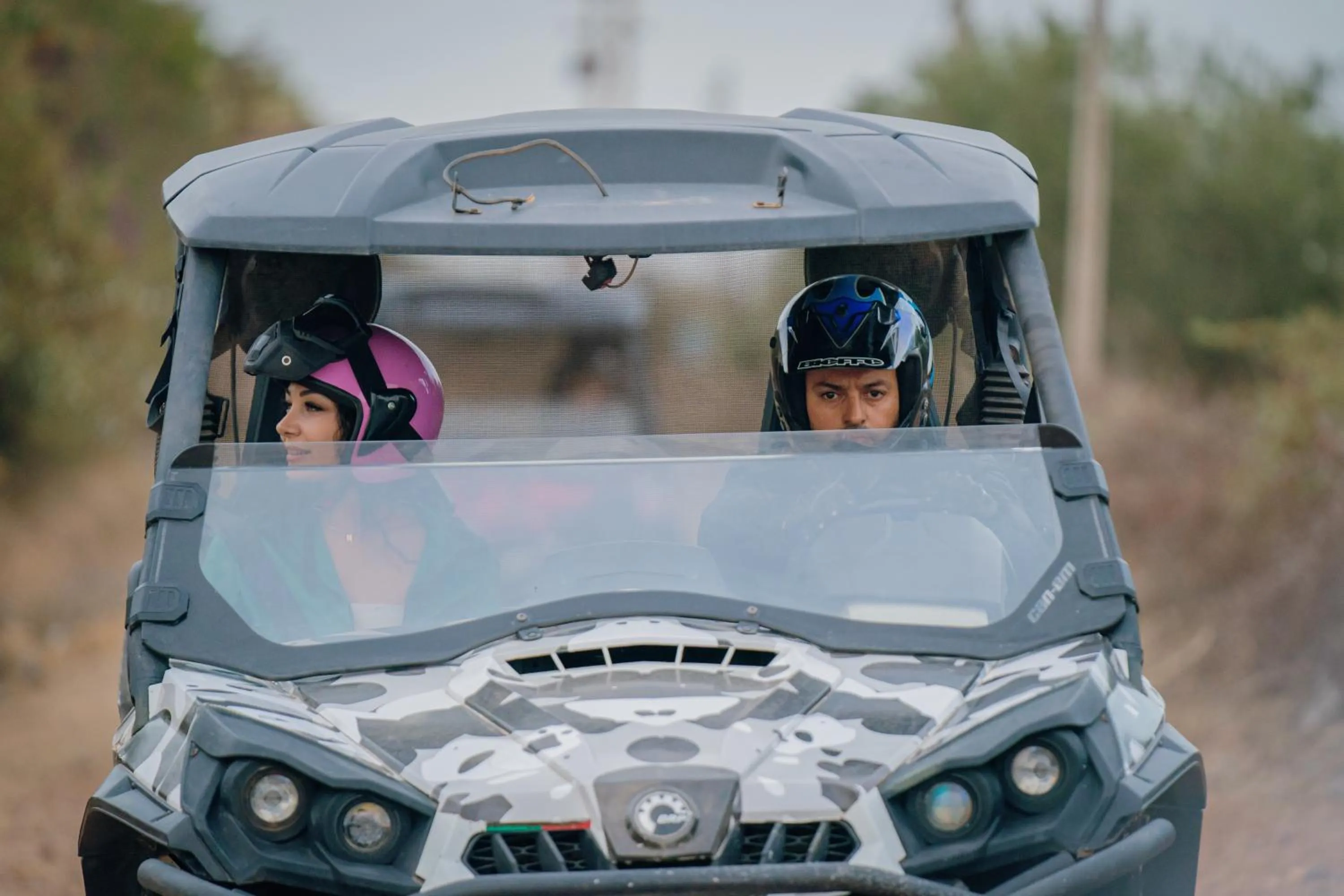 Activities in SOBOL Le Chant des Oliviers