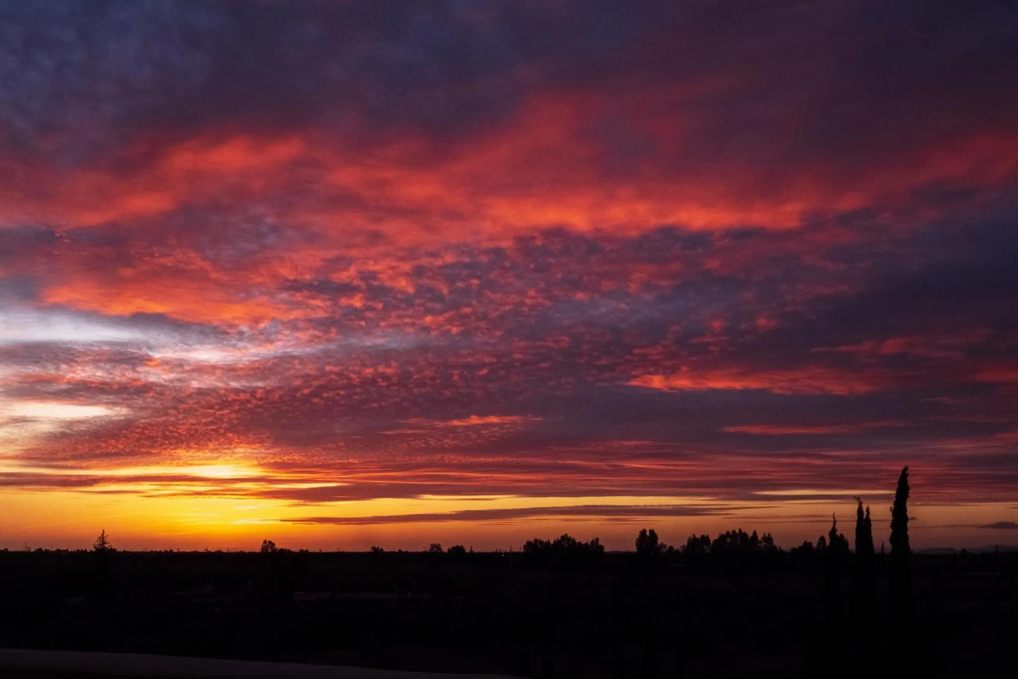 Natural landscape in SOBOL Le Chant des Oliviers