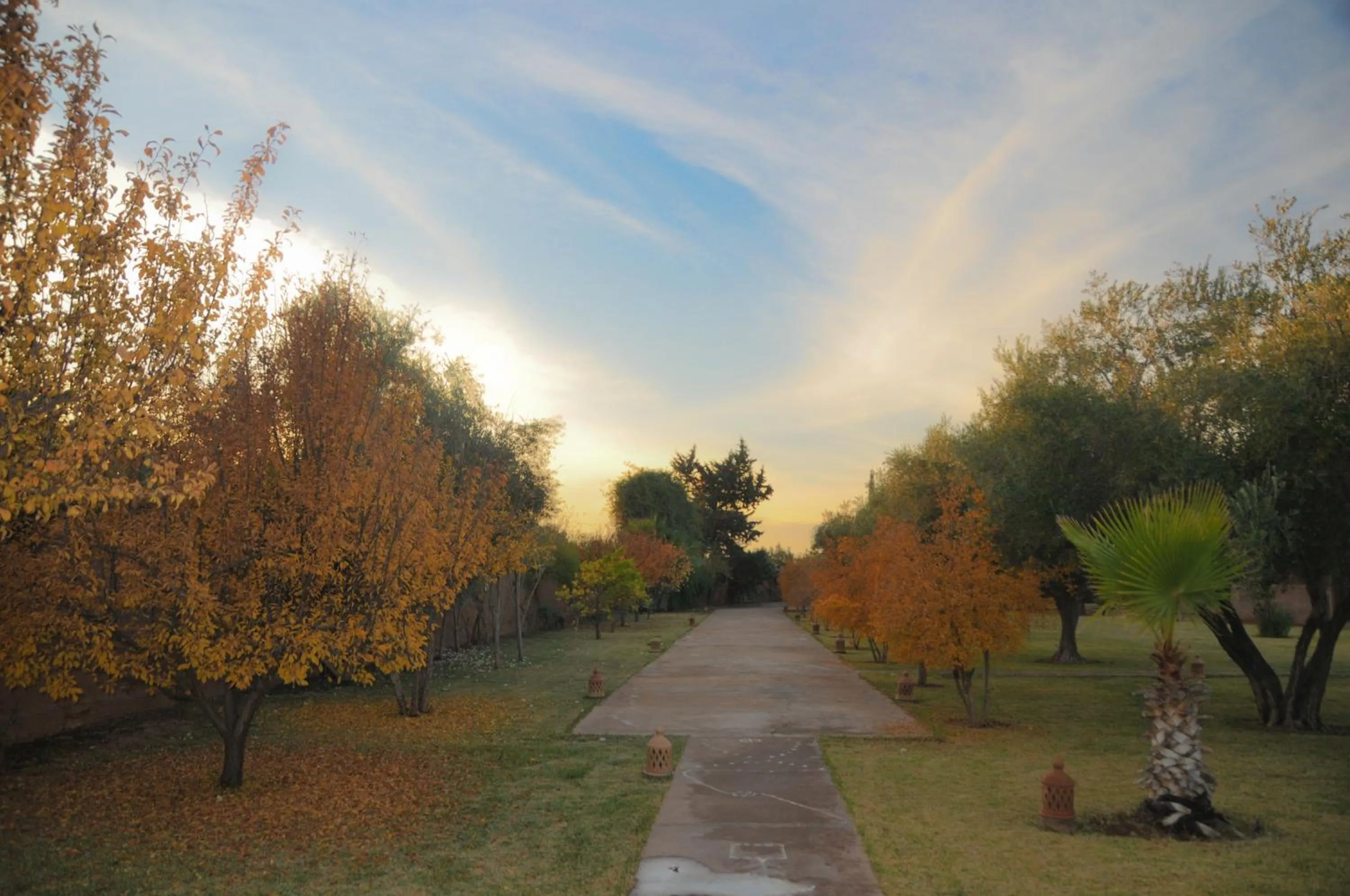 Garden in SOBOL Le Chant des Oliviers