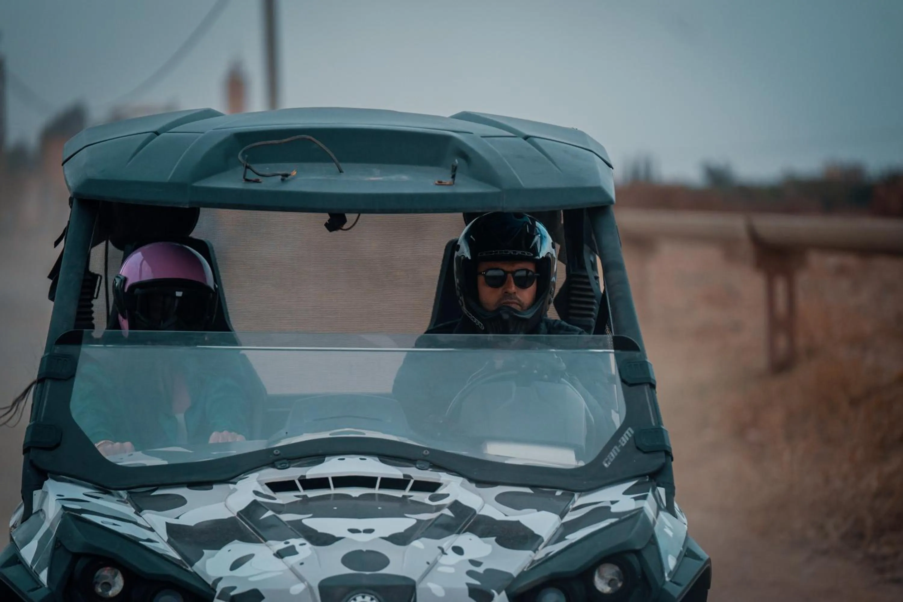 SOBOL Le Chant des Oliviers