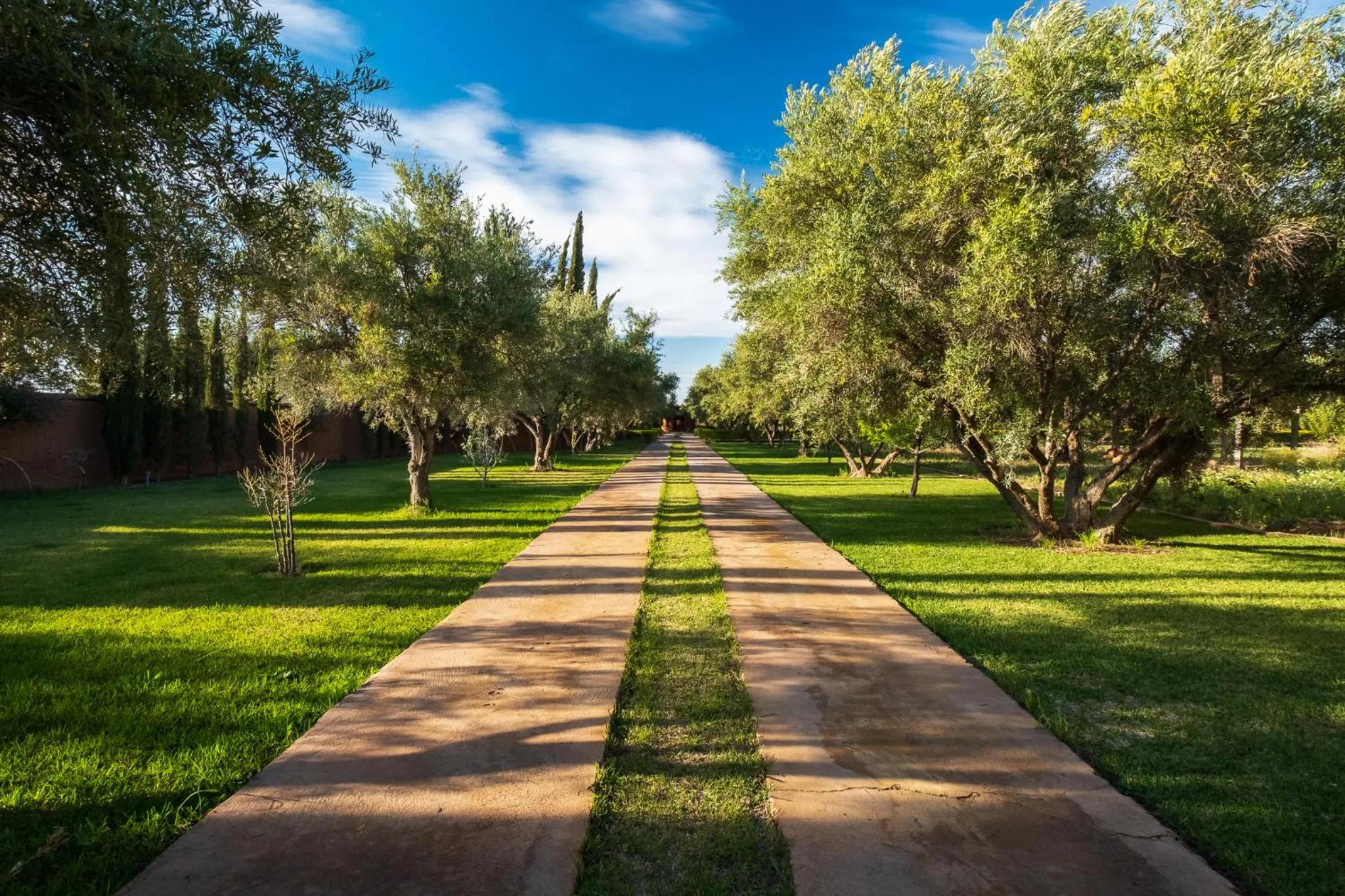 Garden in SOBOL Le Chant des Oliviers