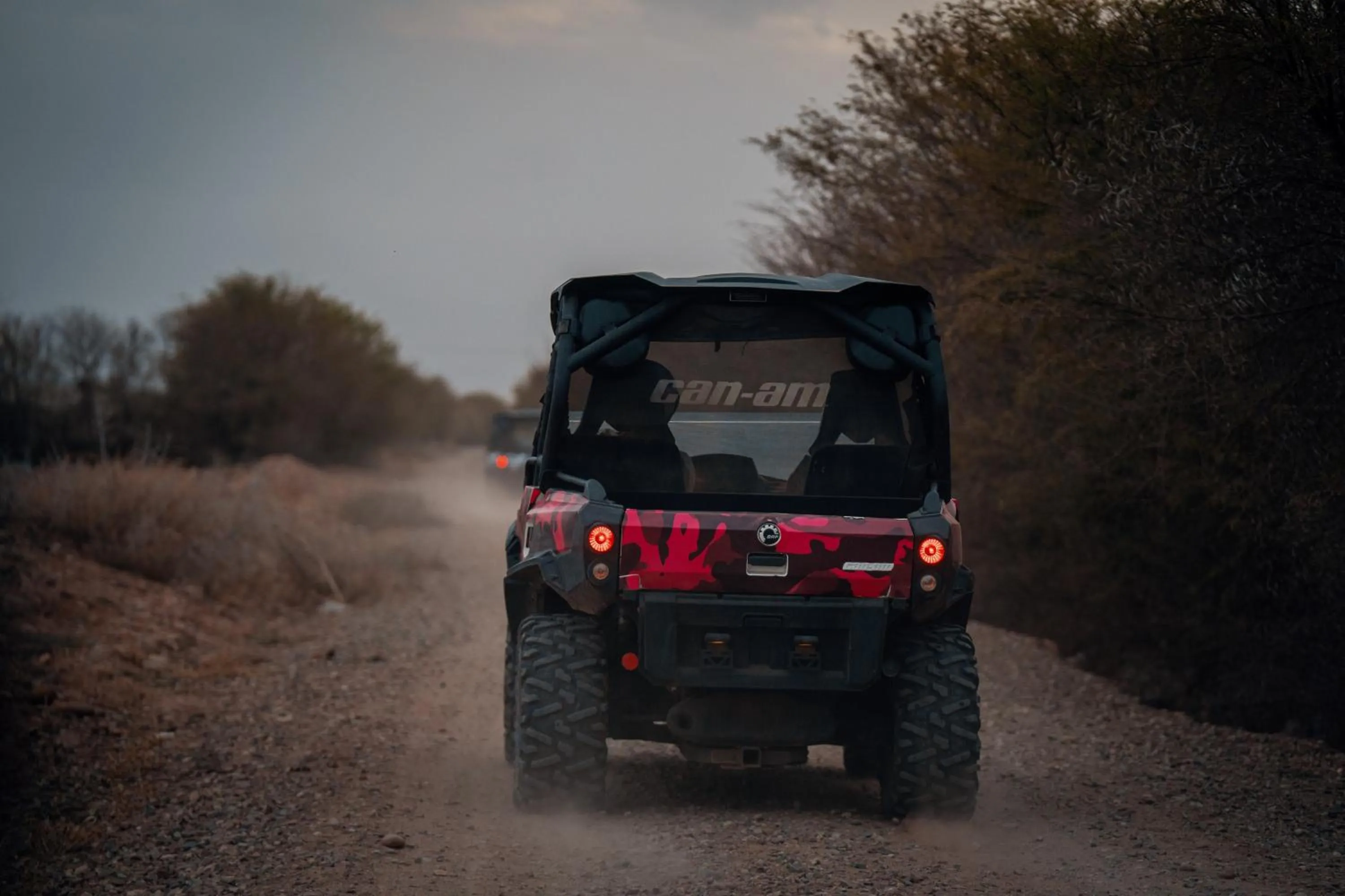 Activities in SOBOL Le Chant des Oliviers