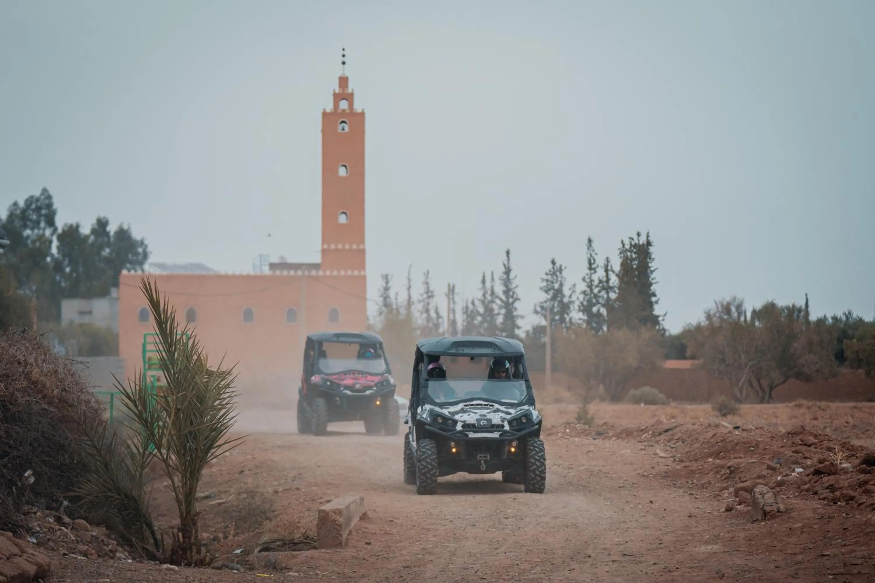 Activities in SOBOL Le Chant des Oliviers