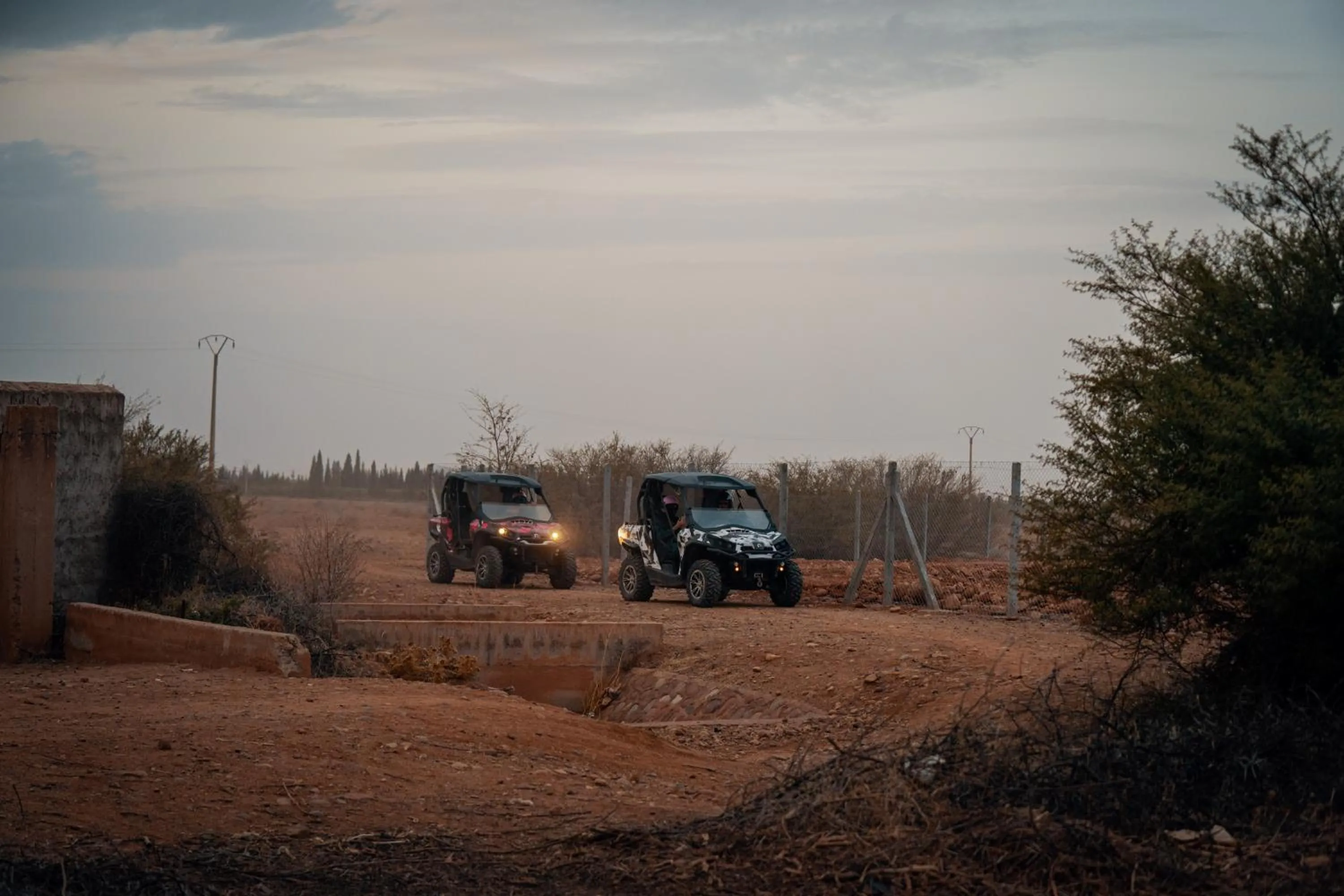 SOBOL Le Chant des Oliviers