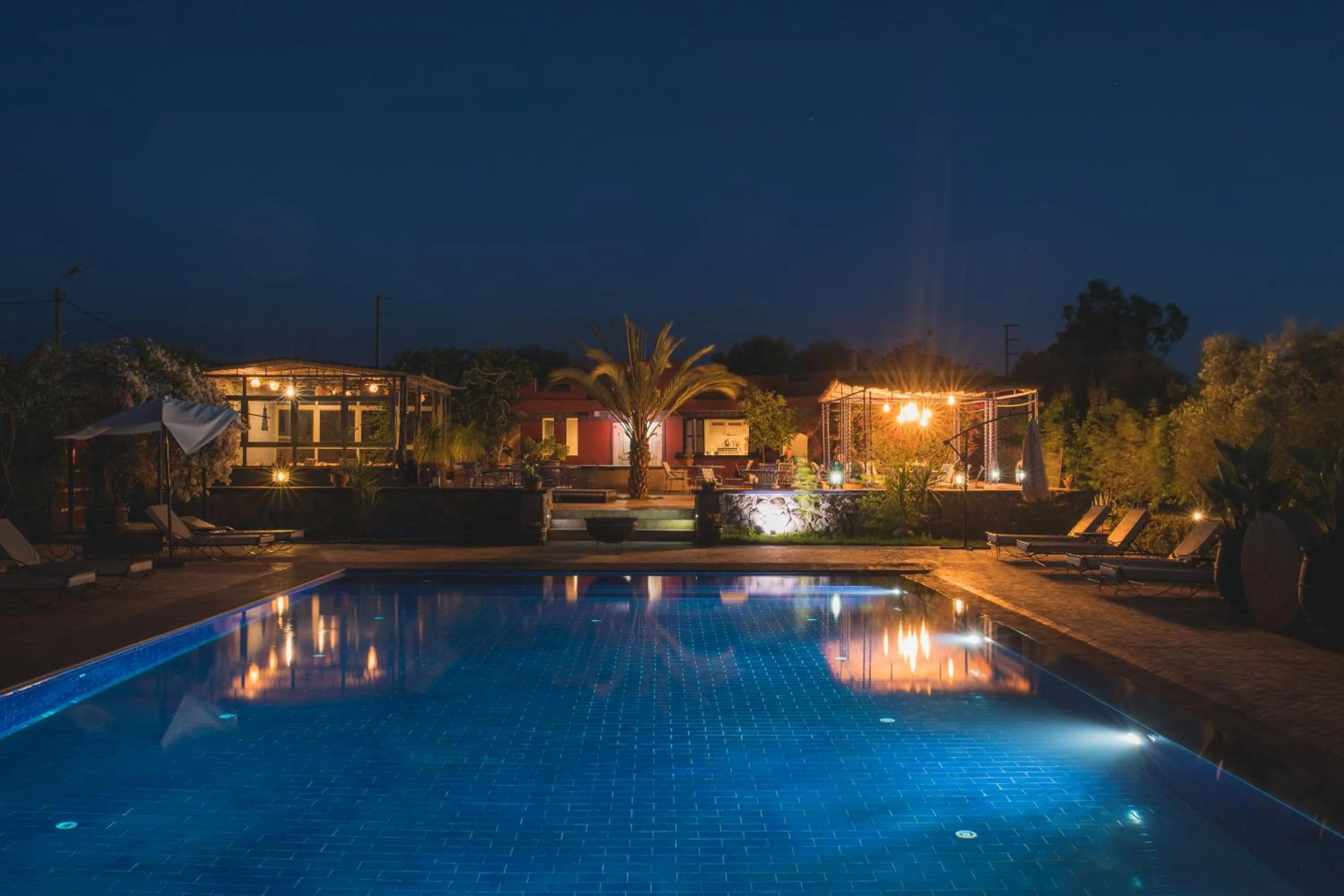 Night in SOBOL Le Chant des Oliviers