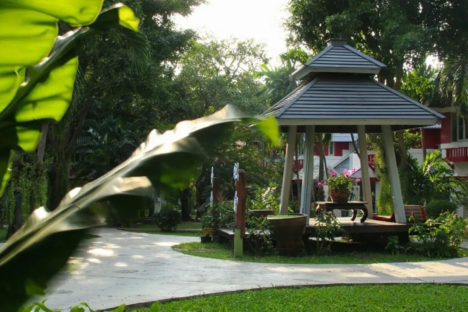 Garden in Natural Park Resort