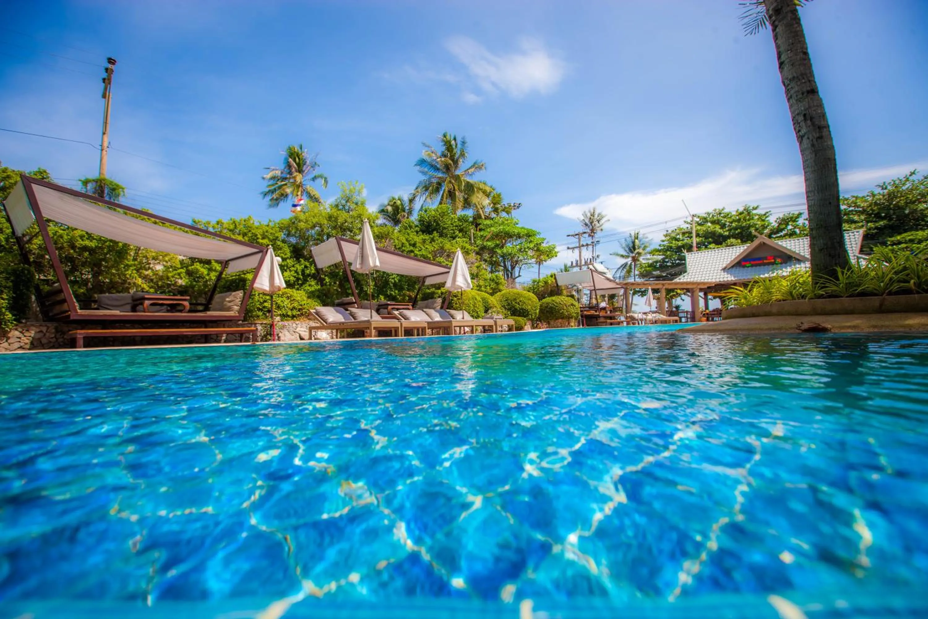 Swimming pool in Natural Park Resort Pattaya