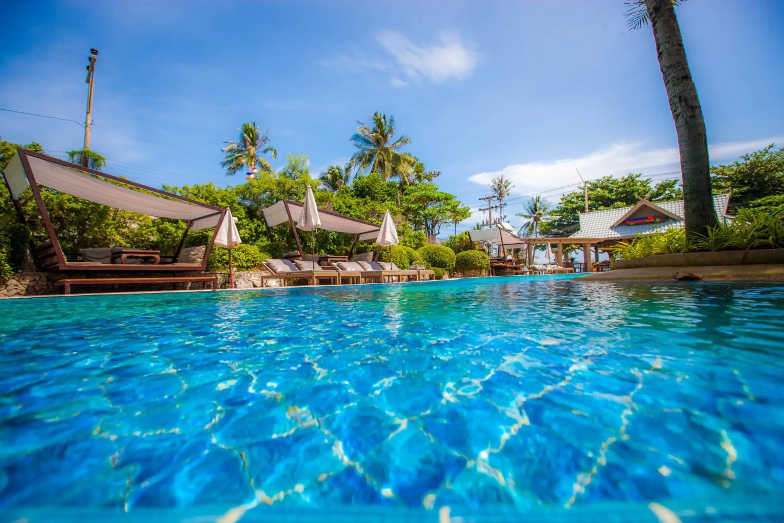 Swimming Pool in Natural Park Resort