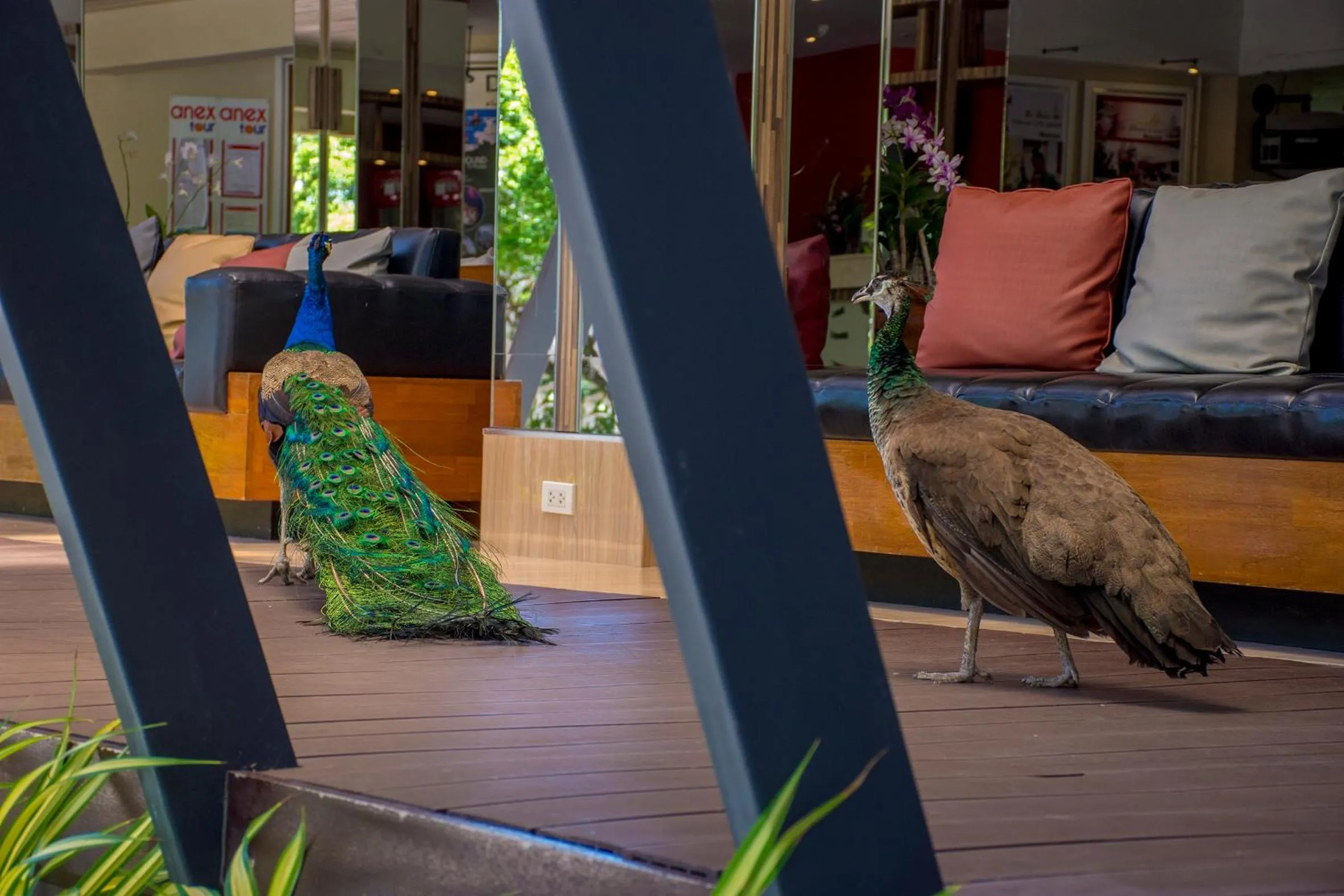 Natural Park Resort Pattaya