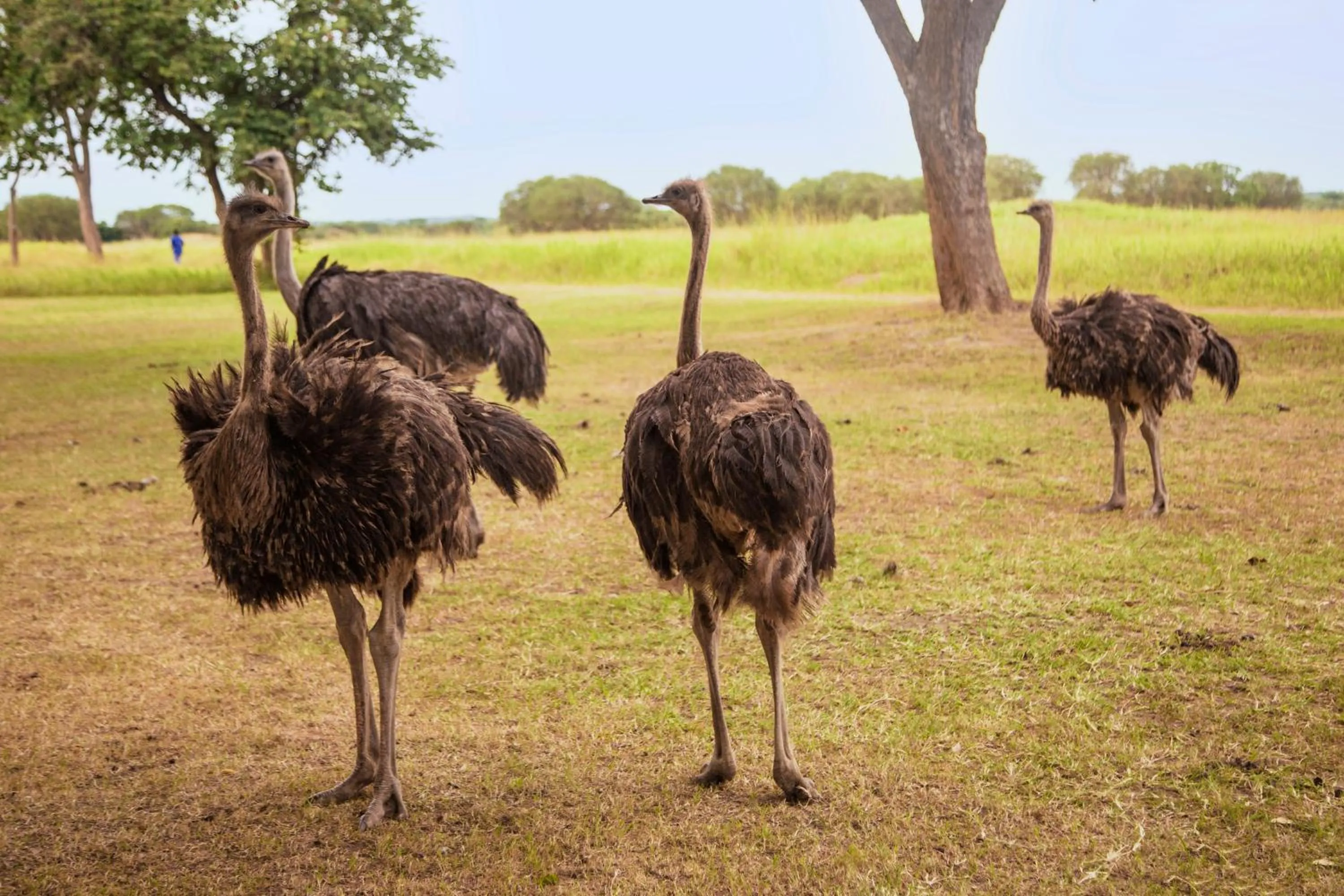 Activities in Chaminuka Lodge