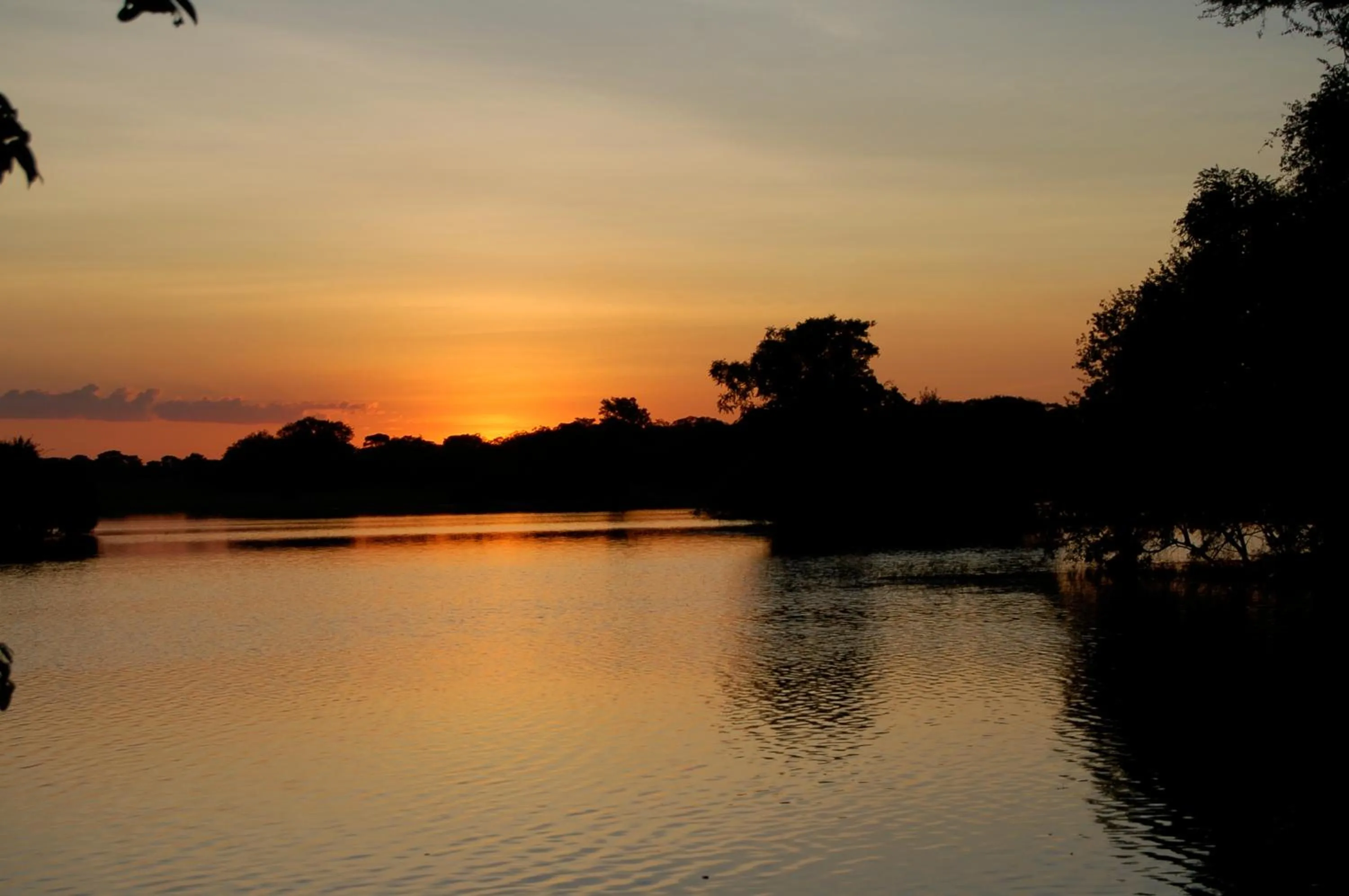 Lake view in Chaminuka Lodge