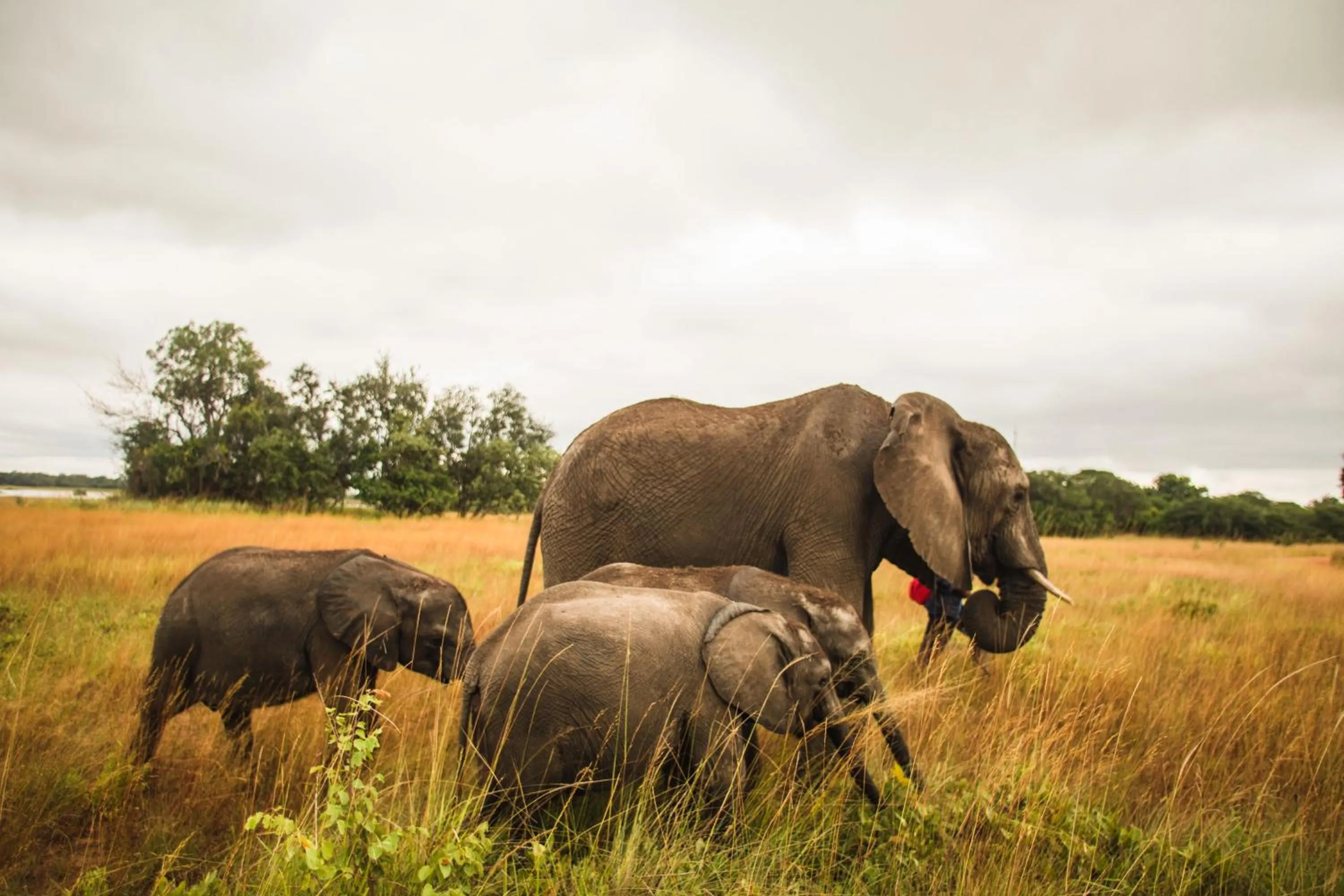 Activities in Chaminuka Lodge