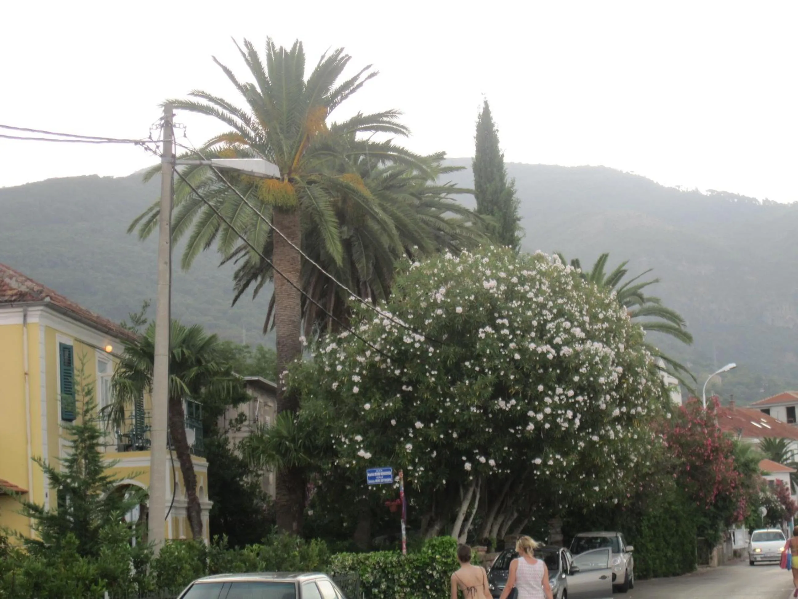 Apartments Delfin