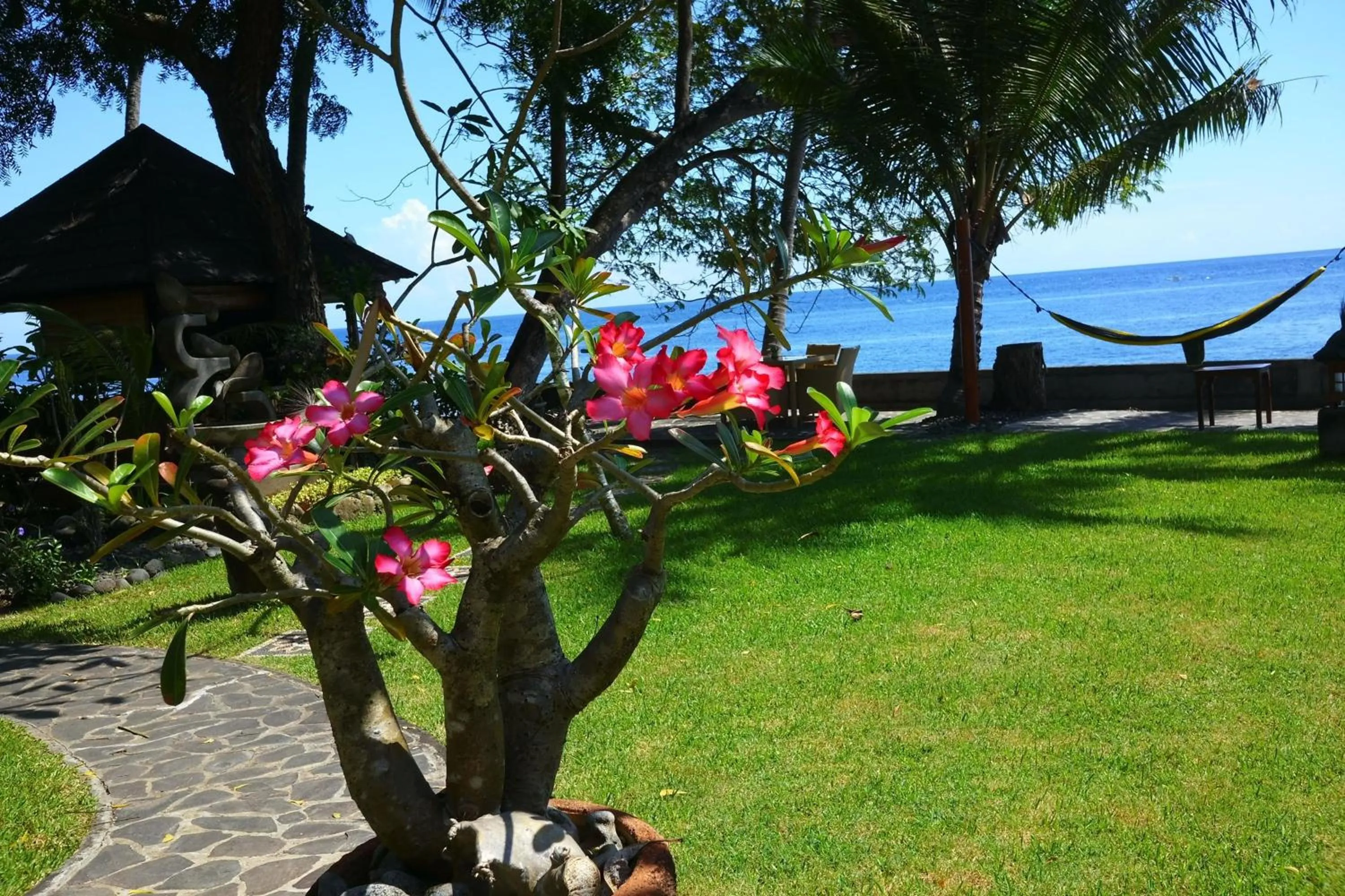 View (from property/room) in Alam Mimpi Bali