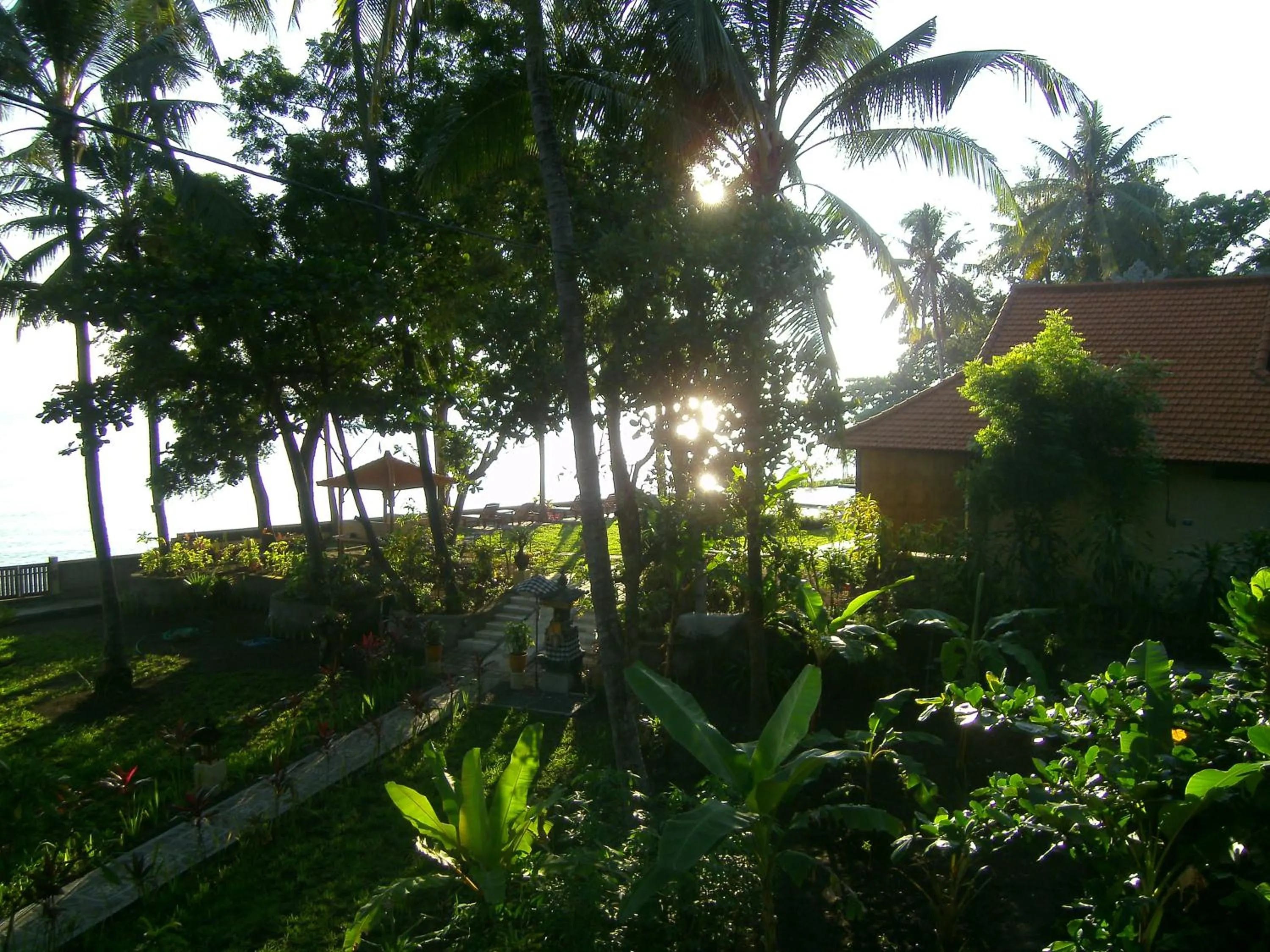 Garden view in Alam Mimpi Bali