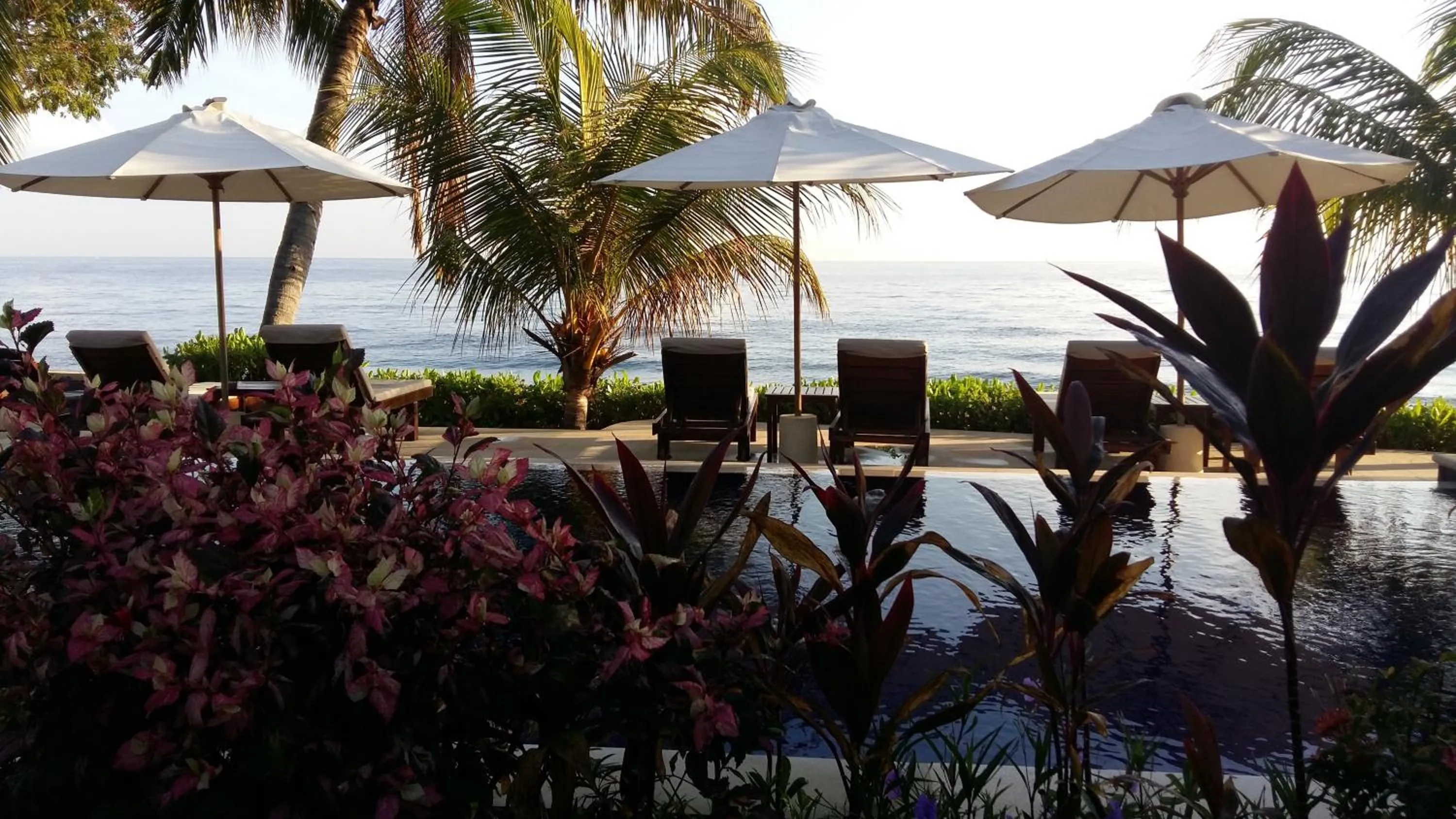 Pool view in Alam Mimpi Bali