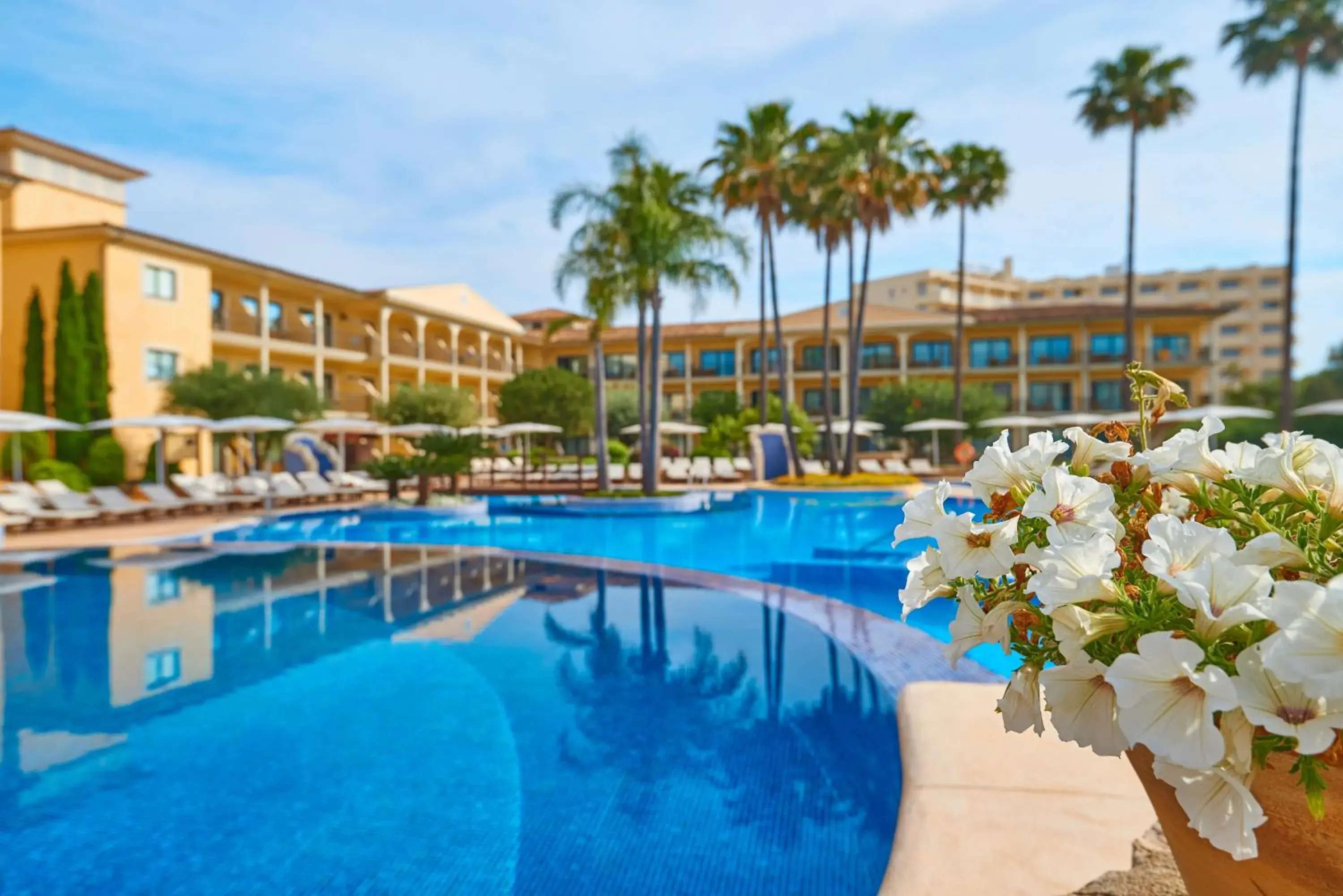 Swimming pool in CM Mallorca Palace - Only Adults Swimming pool in CM Mallorca Palace - Only Adults