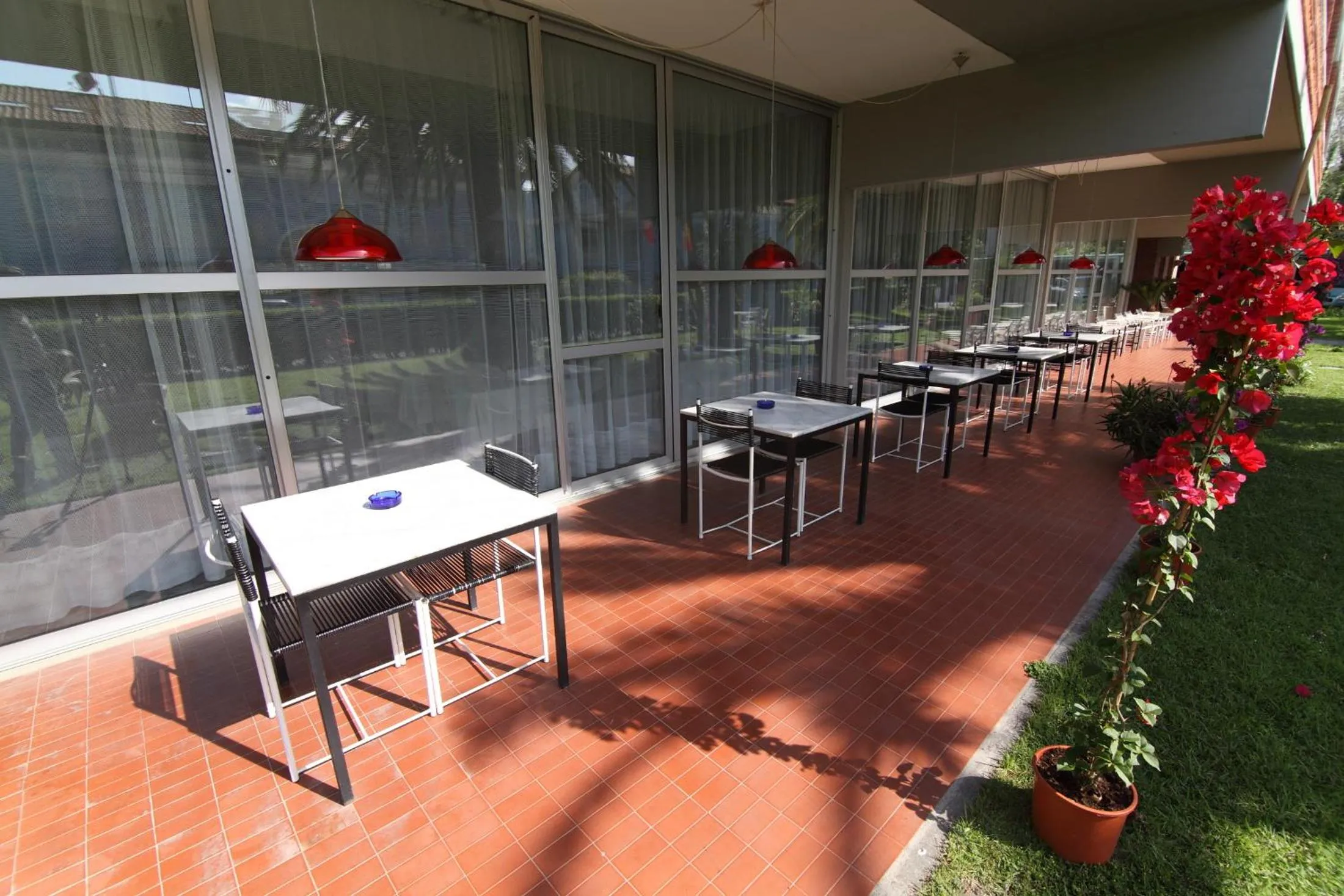 Restaurant/places to eat in Hotel Marina