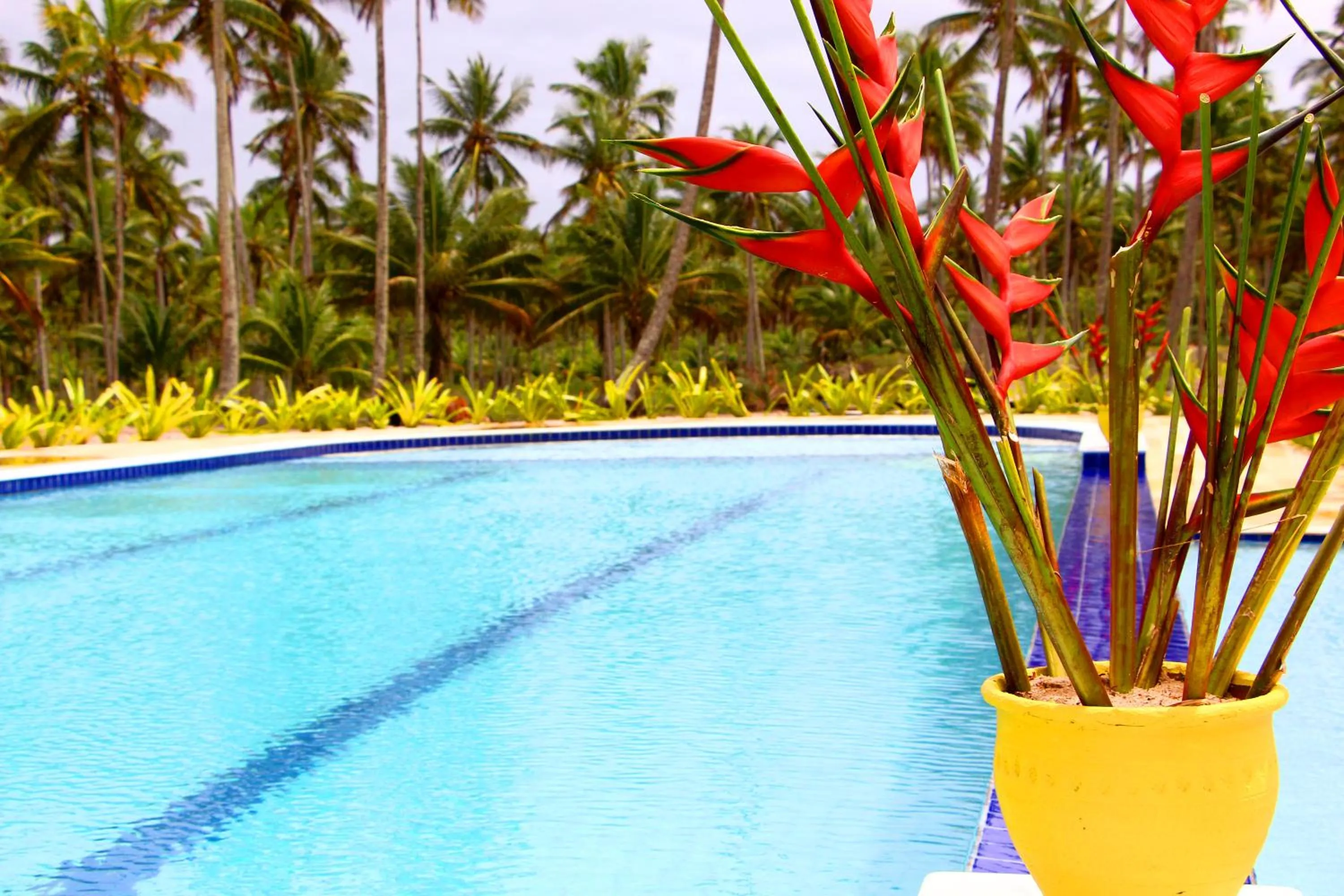 Swimming pool in Makaira Beach Resort