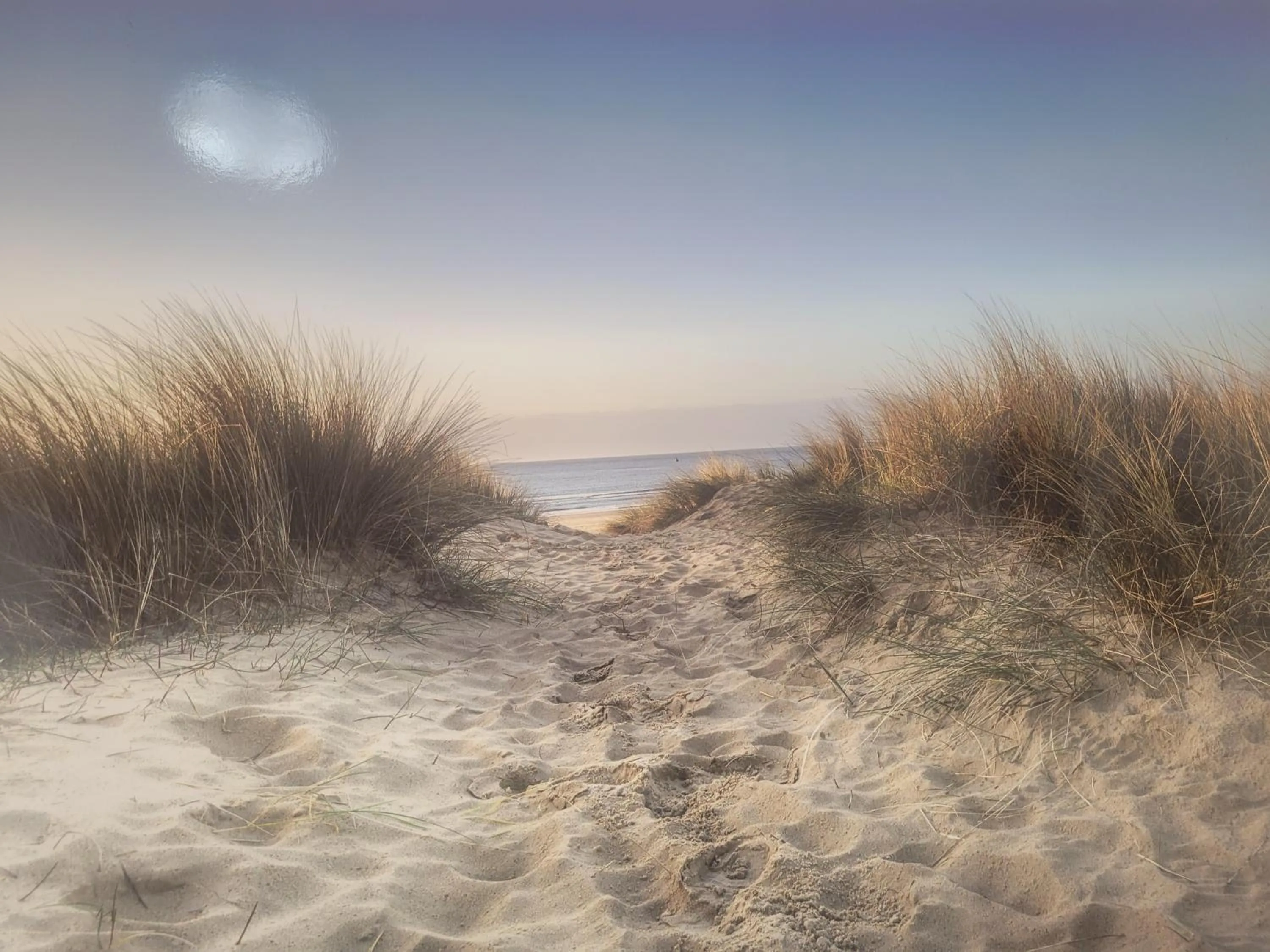 Natural landscape in La Llar de Laura