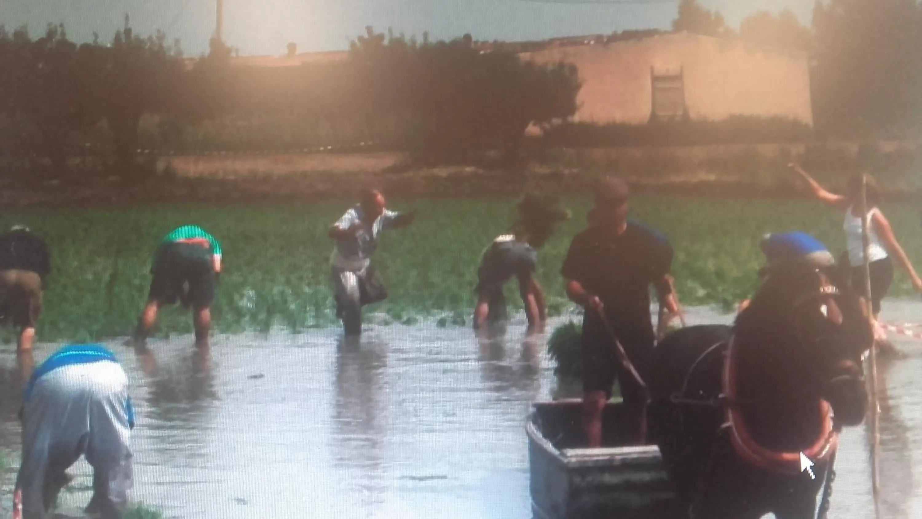 Natural landscape in La Llar de Laura