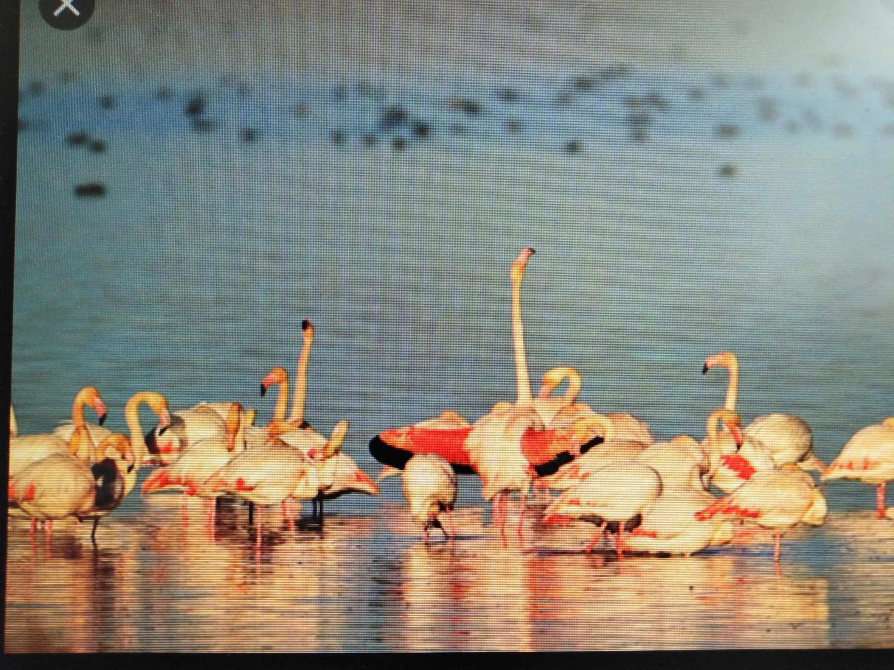 Natural landscape in La Llar de Laura