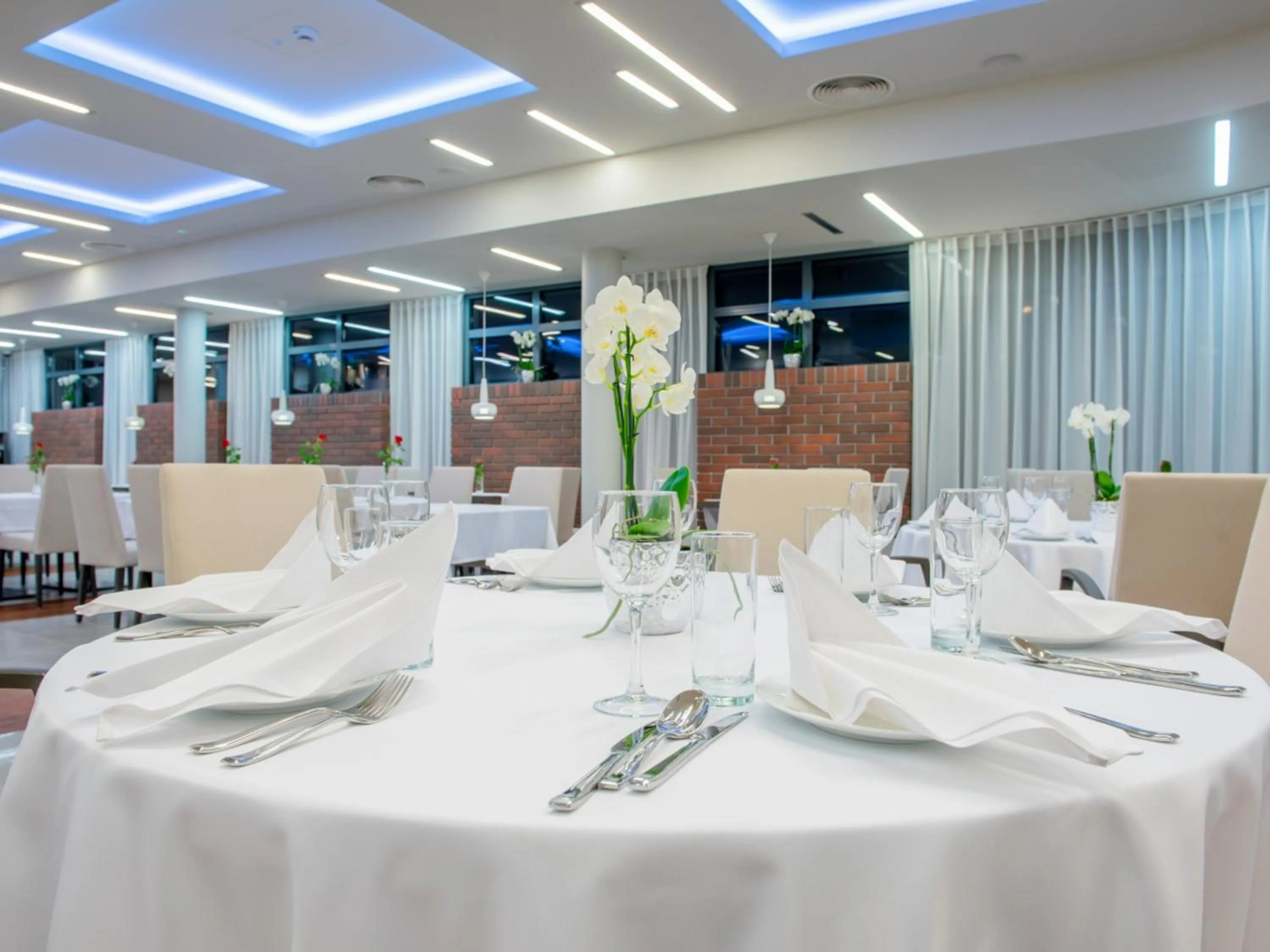 Restaurant/Places to Eat in Hotel Kosma