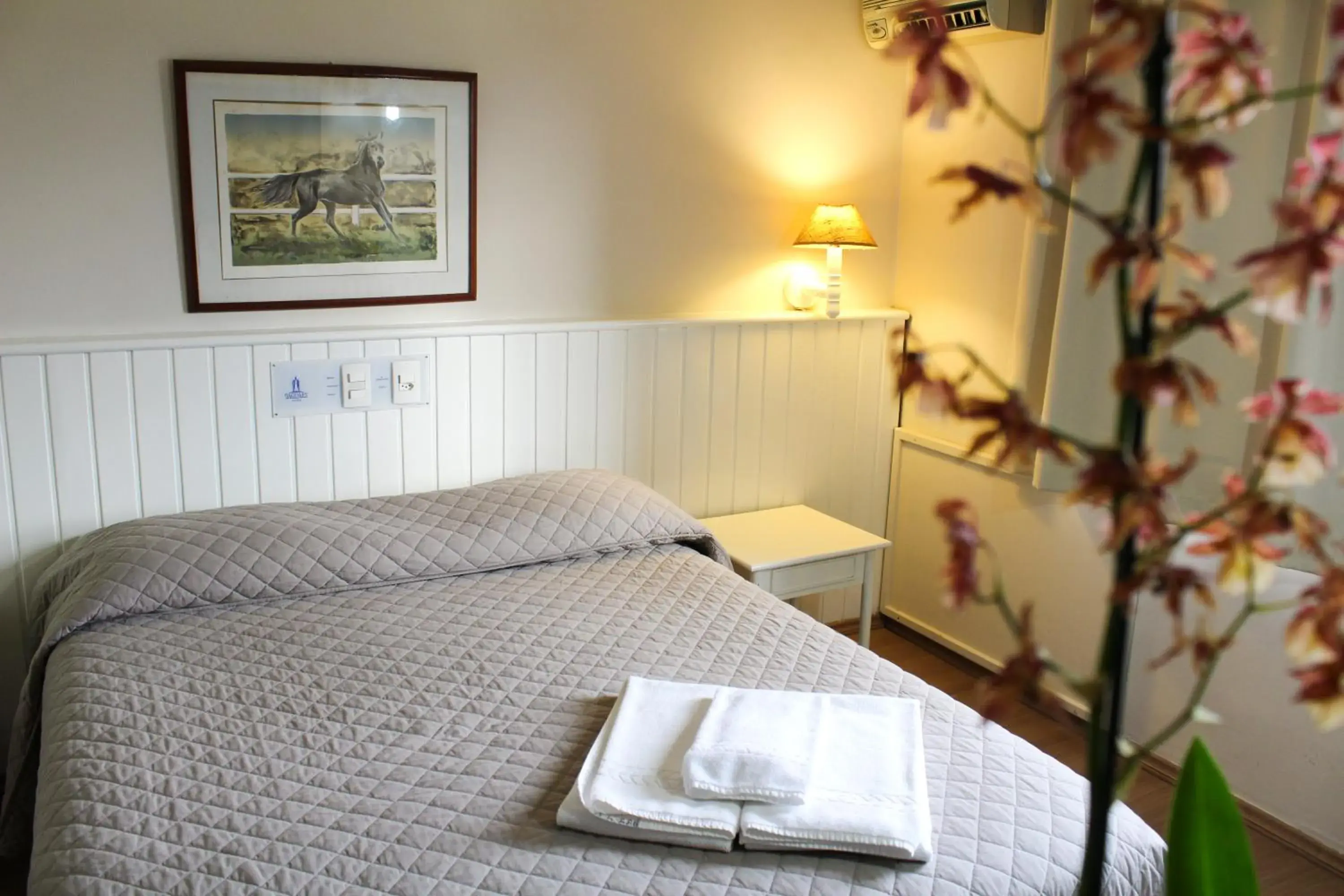 Standard Triple Room - single occupancy in Hotel Residence Jaguary Standard Triple Room - single occupancy in Hotel Residence Jaguary
