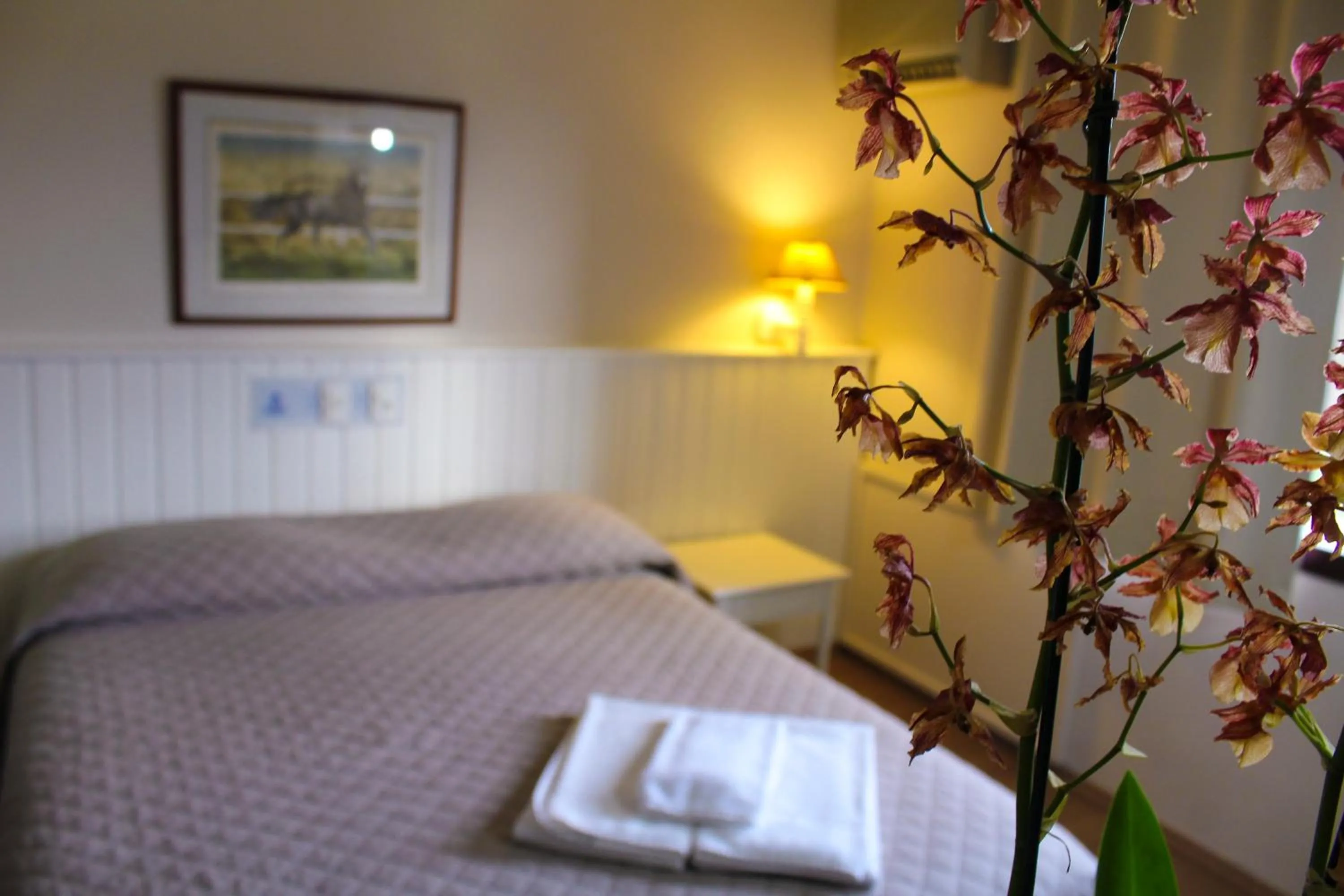Double Room - single occupancy in Hotel Residence Jaguary