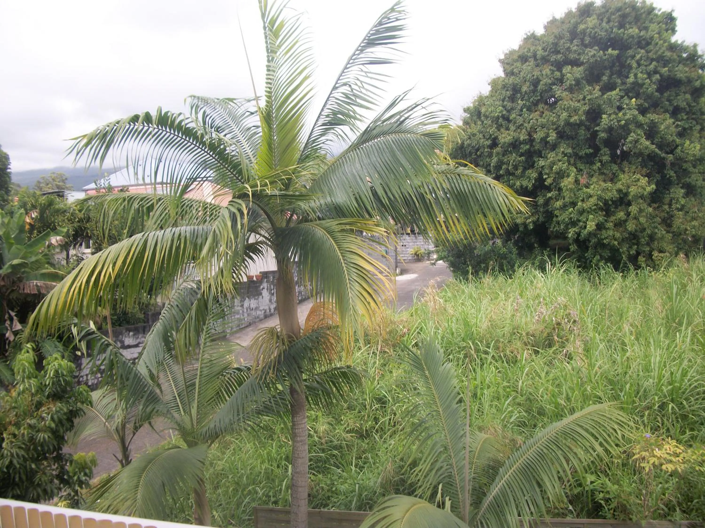 Garden view in Le Rubinjo - Appartement d'hôtes